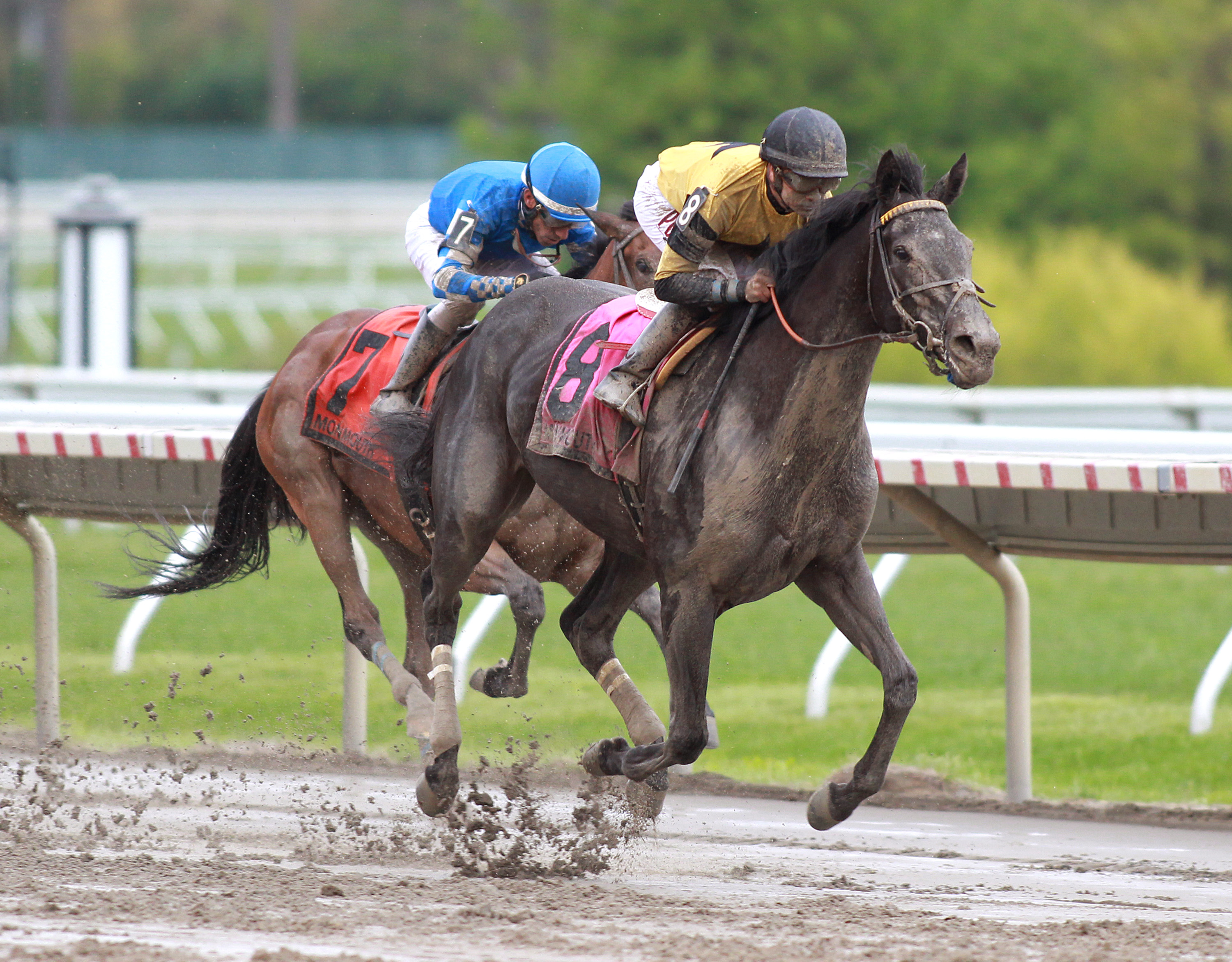 Berned wins 2018 Serena-s Song