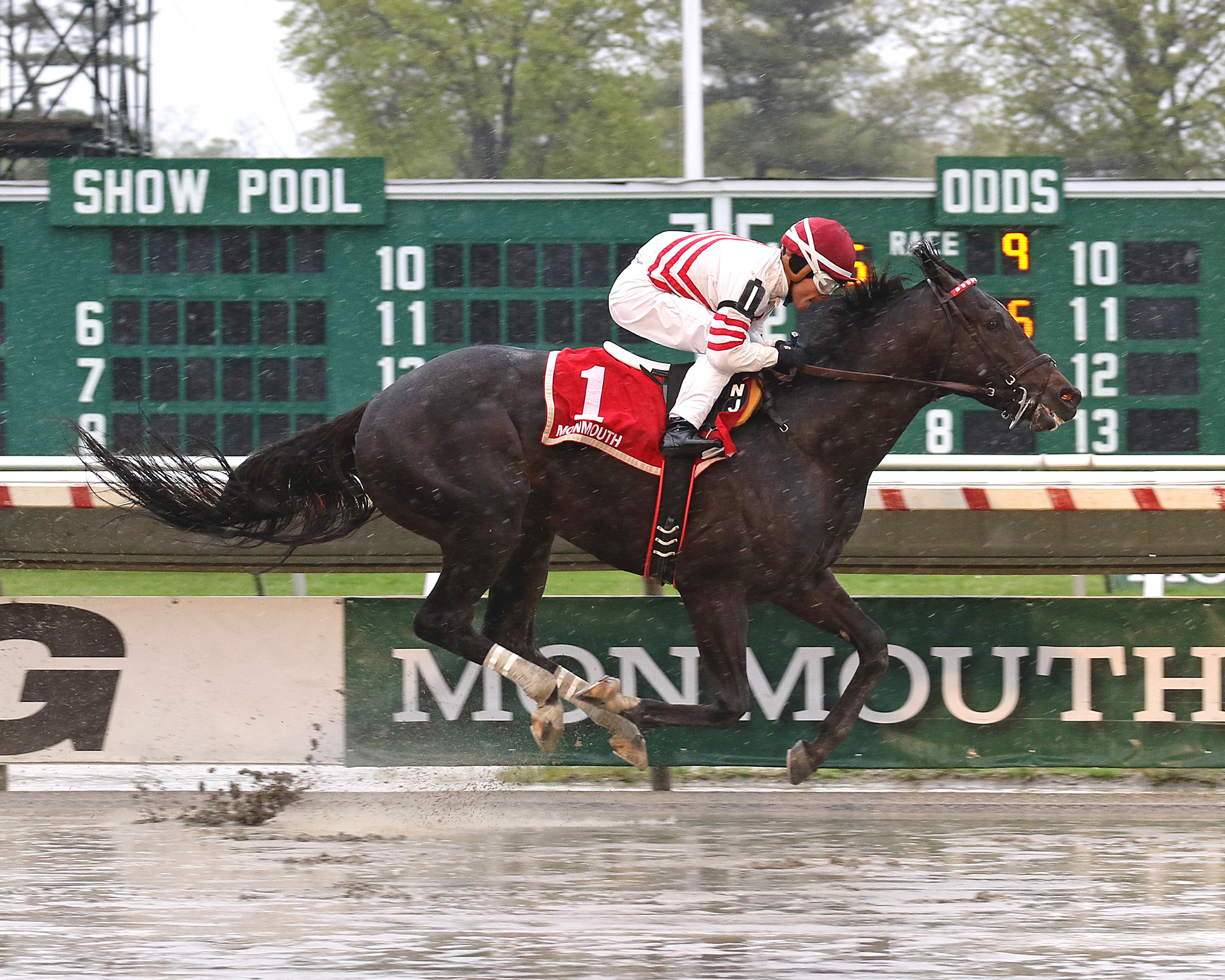 Joevia wins the 2019 Long Branch Stakes