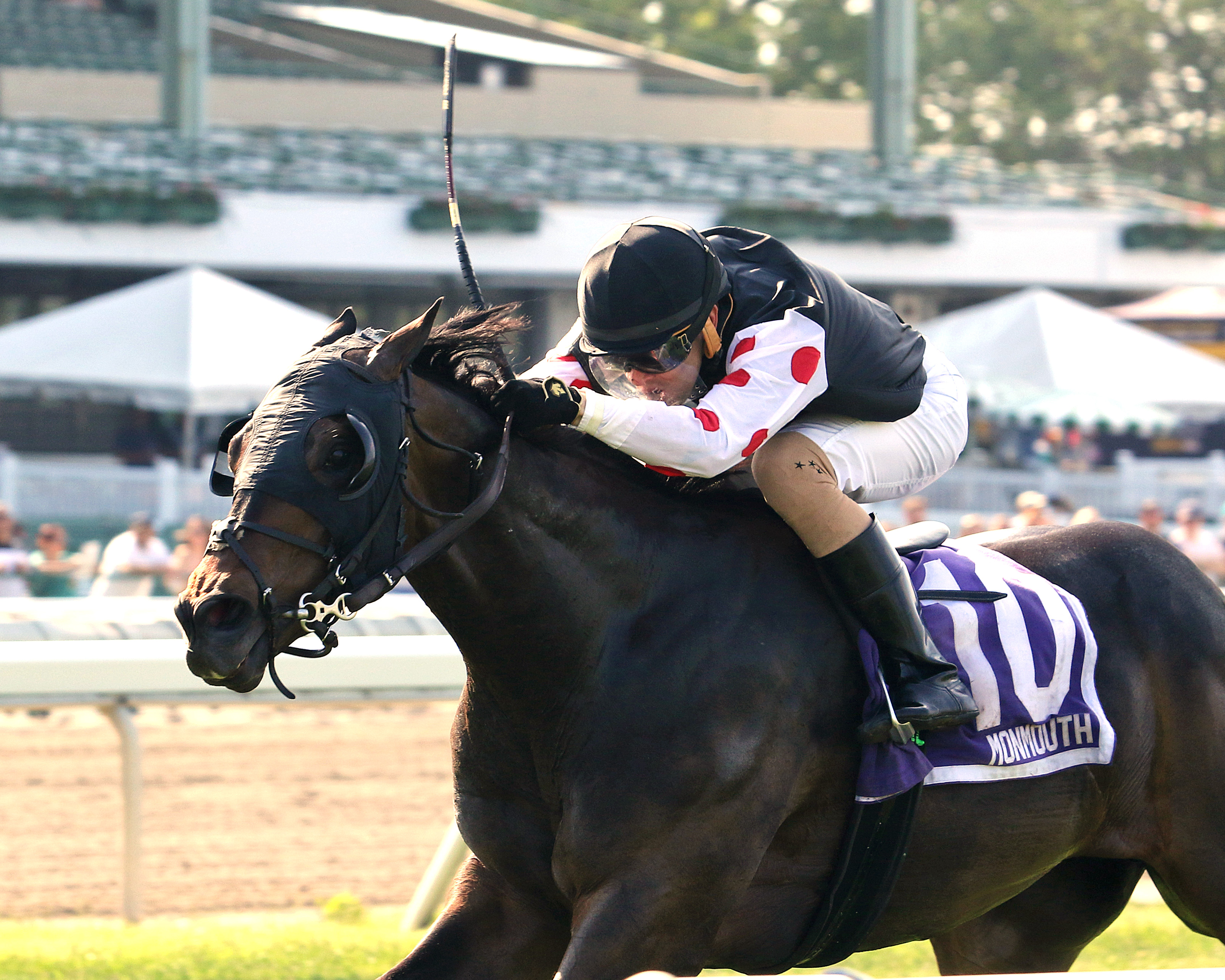 Wet Your Whistle wins the 2019 Get Serious Stakes