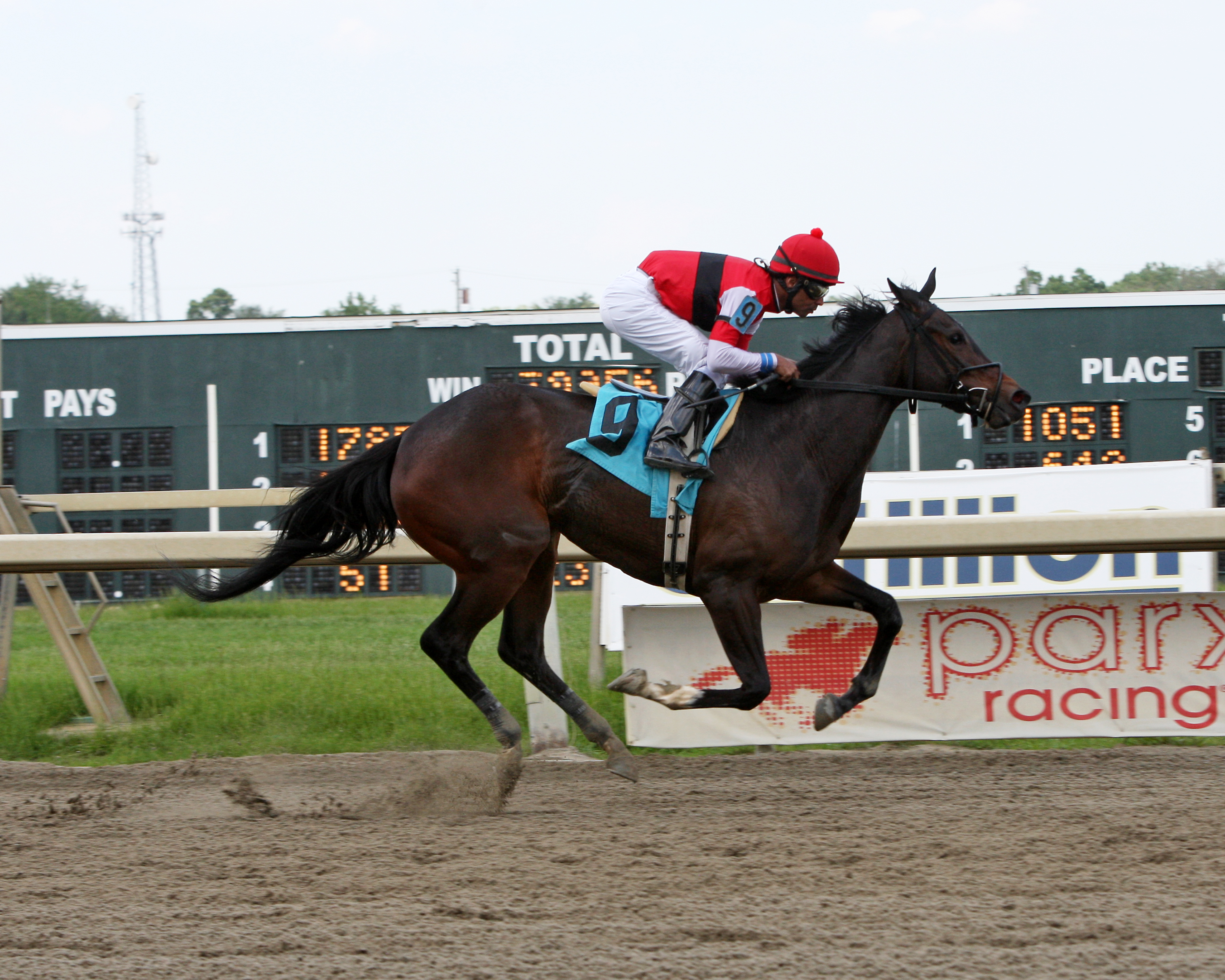 Avalina wins the 2019 Parx Spring Oaks