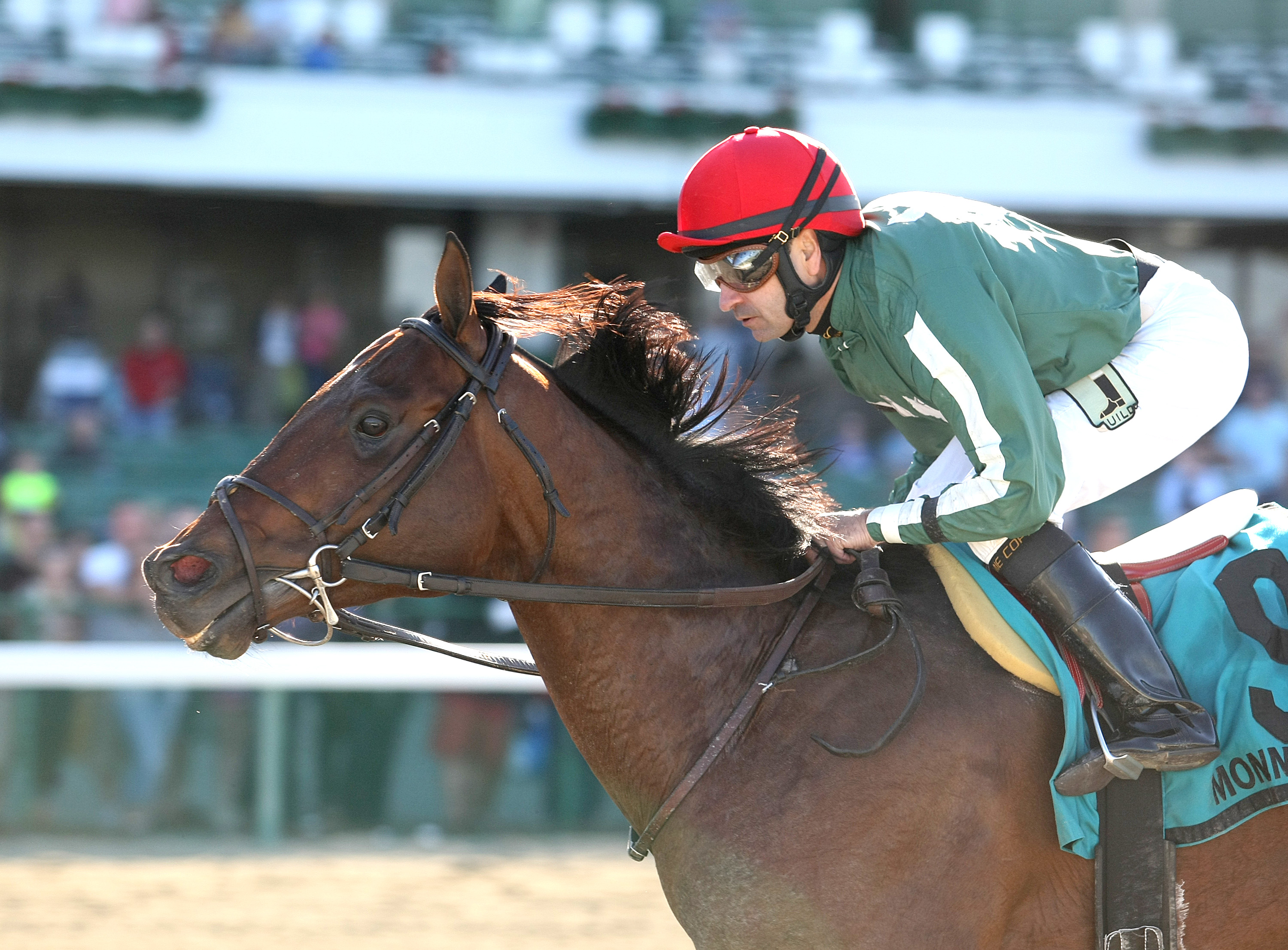 Red Vine wins 2015 Majestic Light