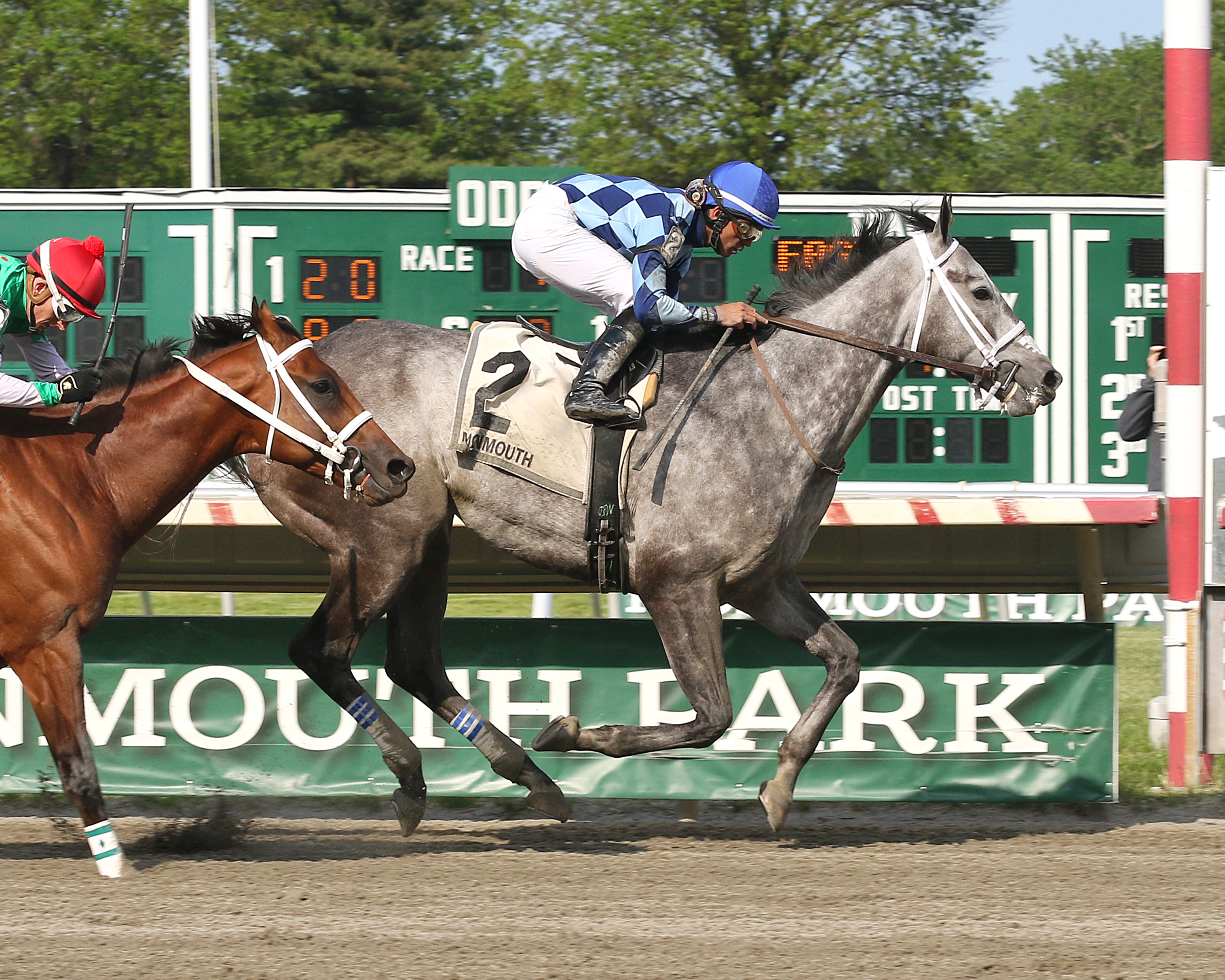 Sunny Ridge wins the 2019 Salvator Mile