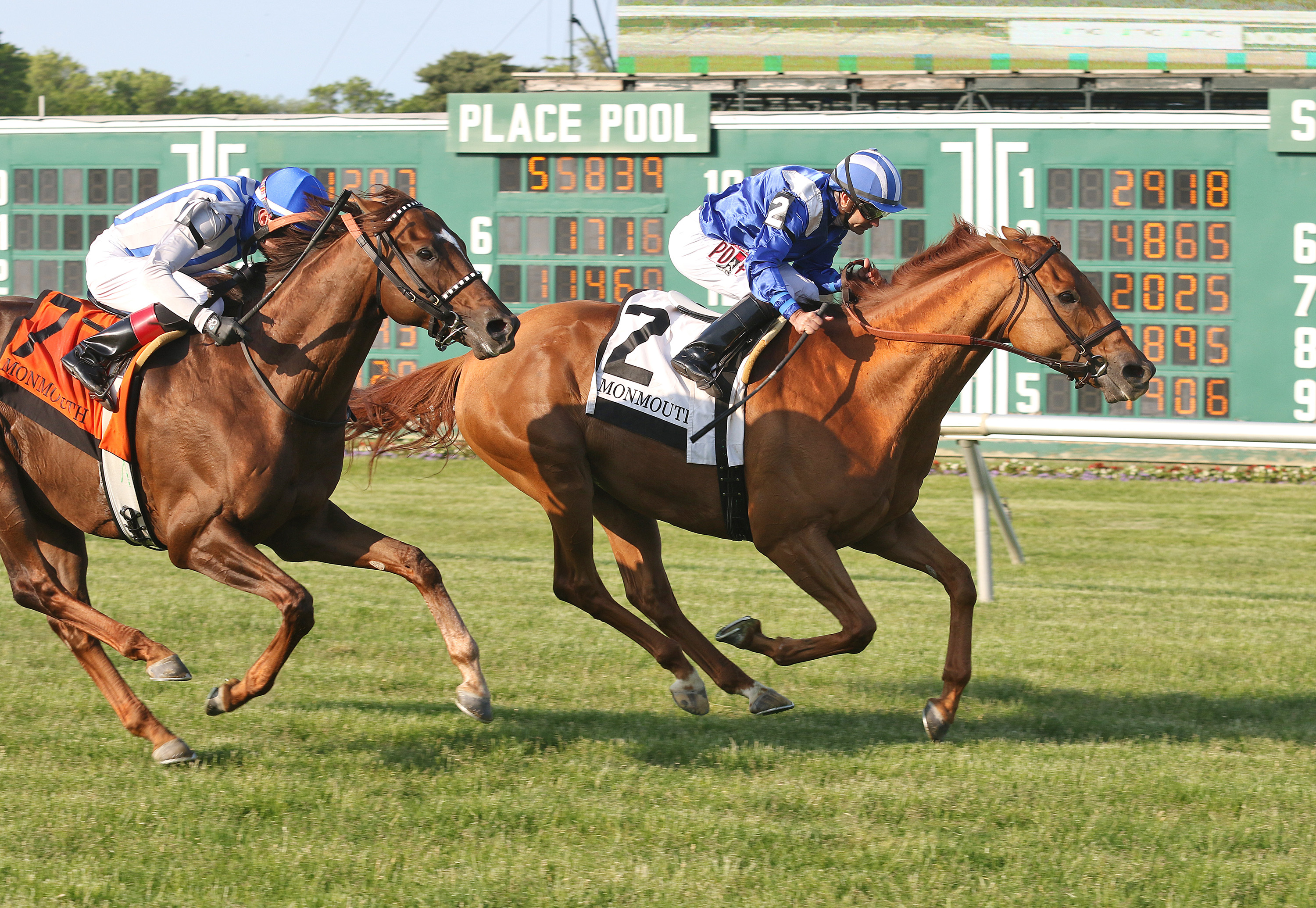 Almanaar wins the 2019 Monmouth Stakes