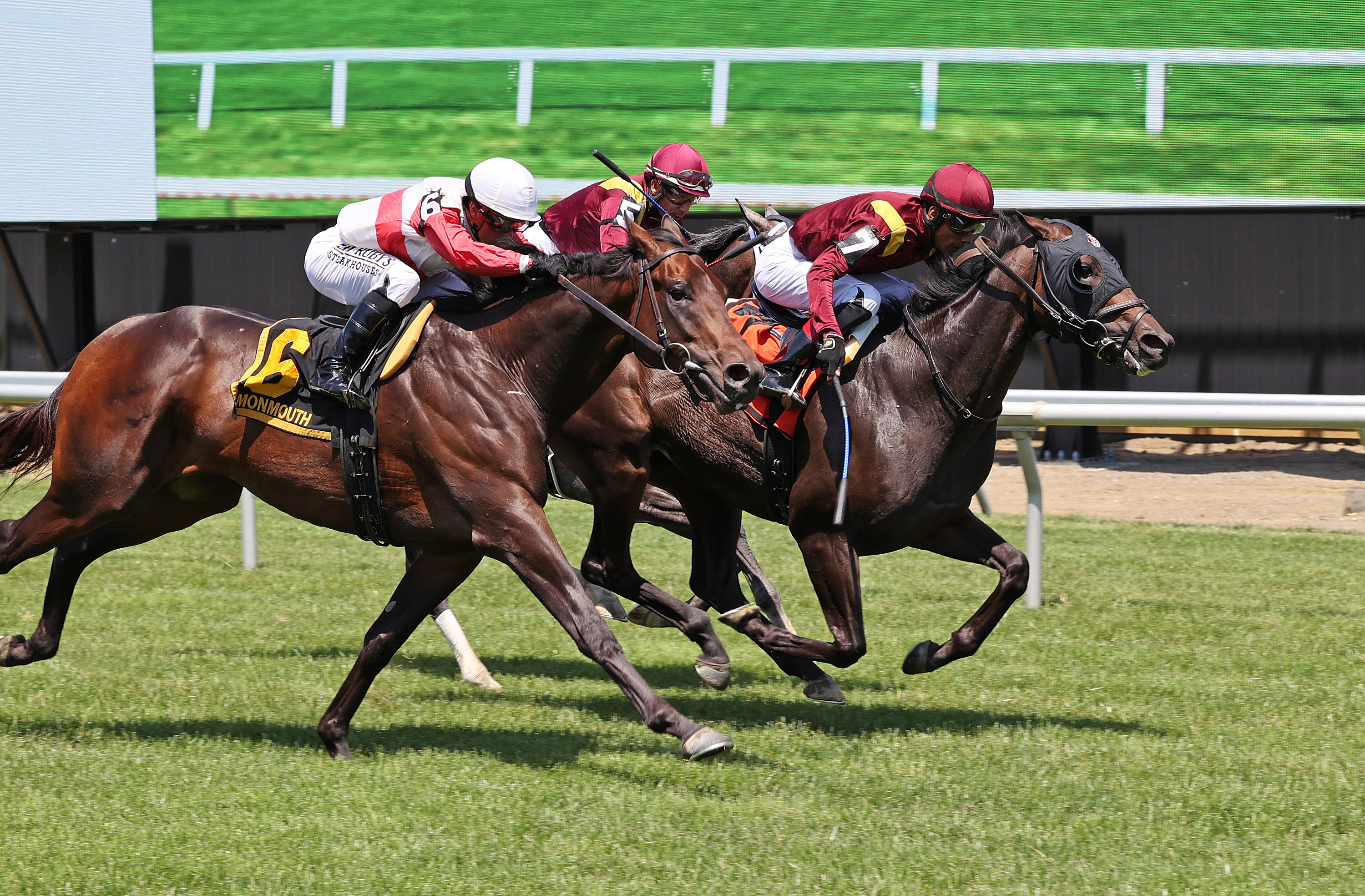 Fuerteventura (7) wins Jersey Derby 5-29-2022