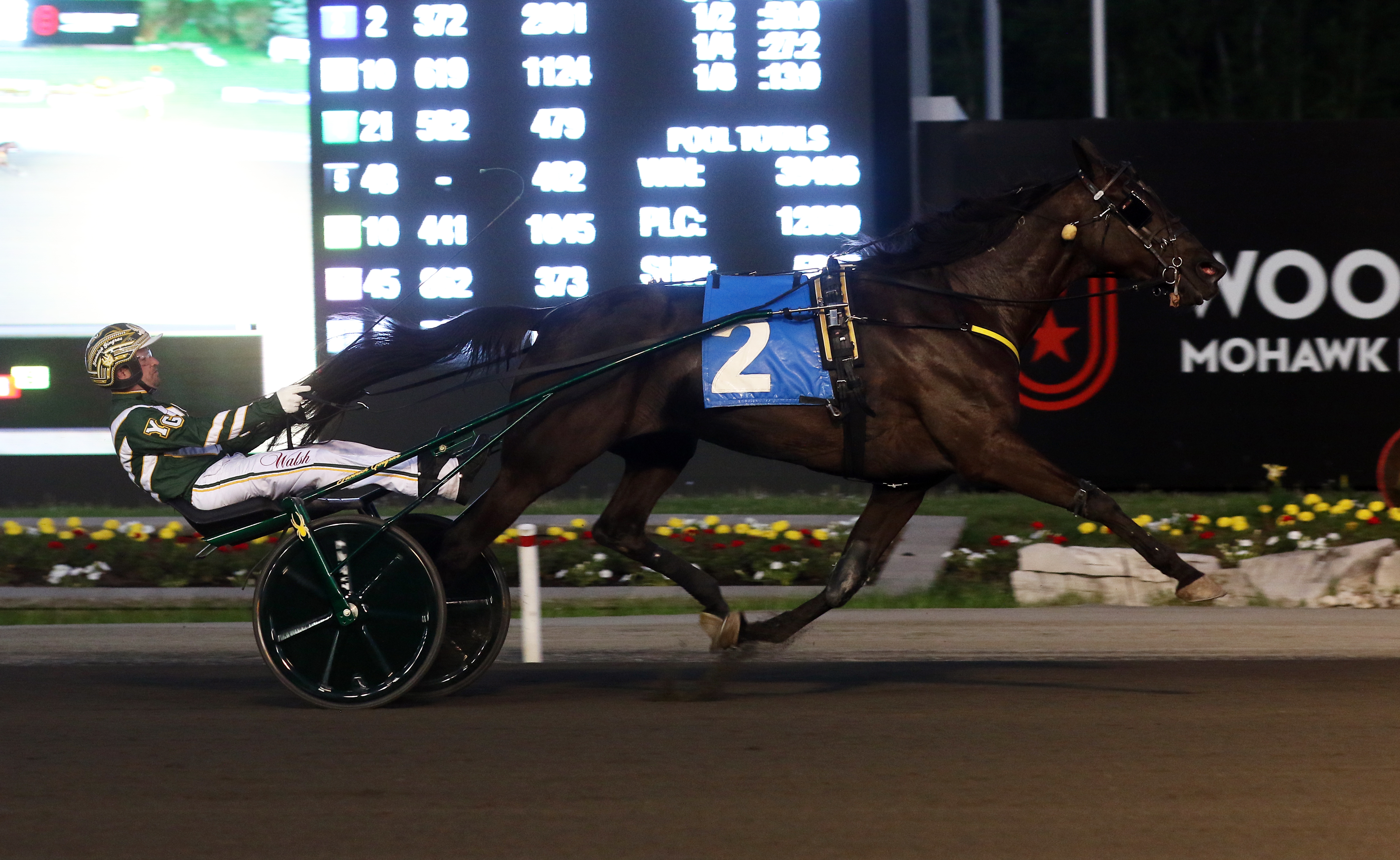 Hannelore Hanover