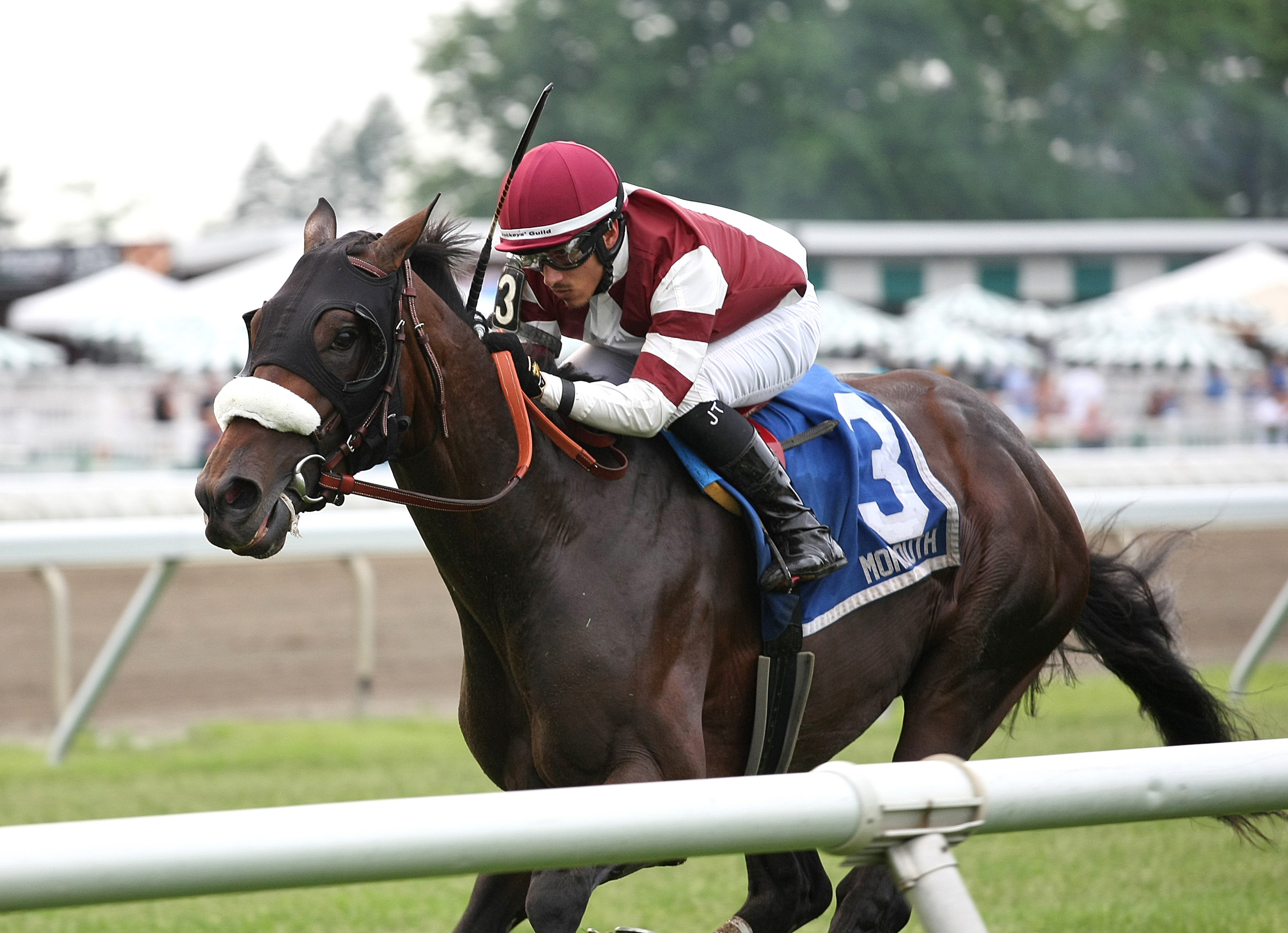 Gunnison wins the 2018 Tale of the Cat Stakes