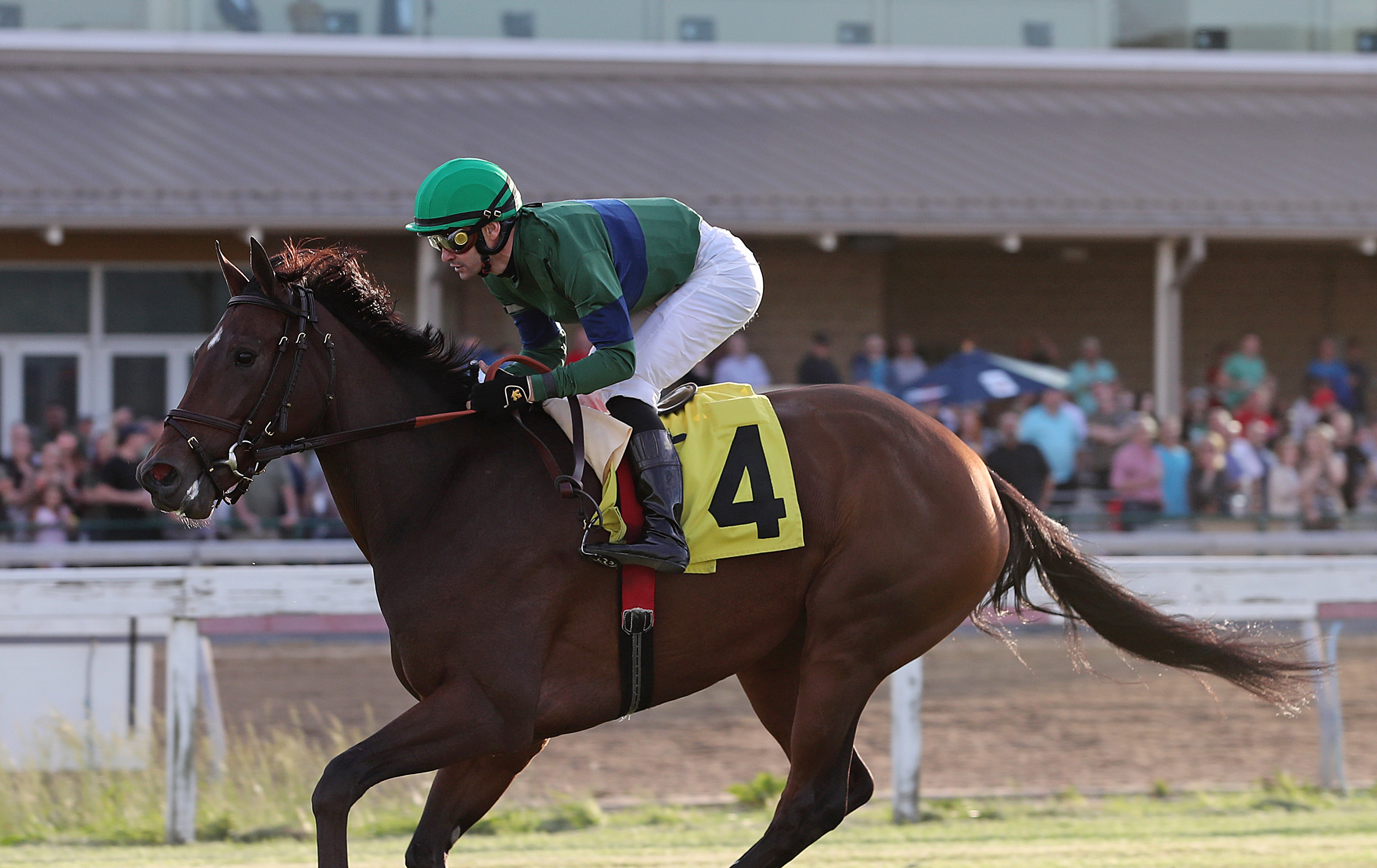 Haughty/Penn Oaks
