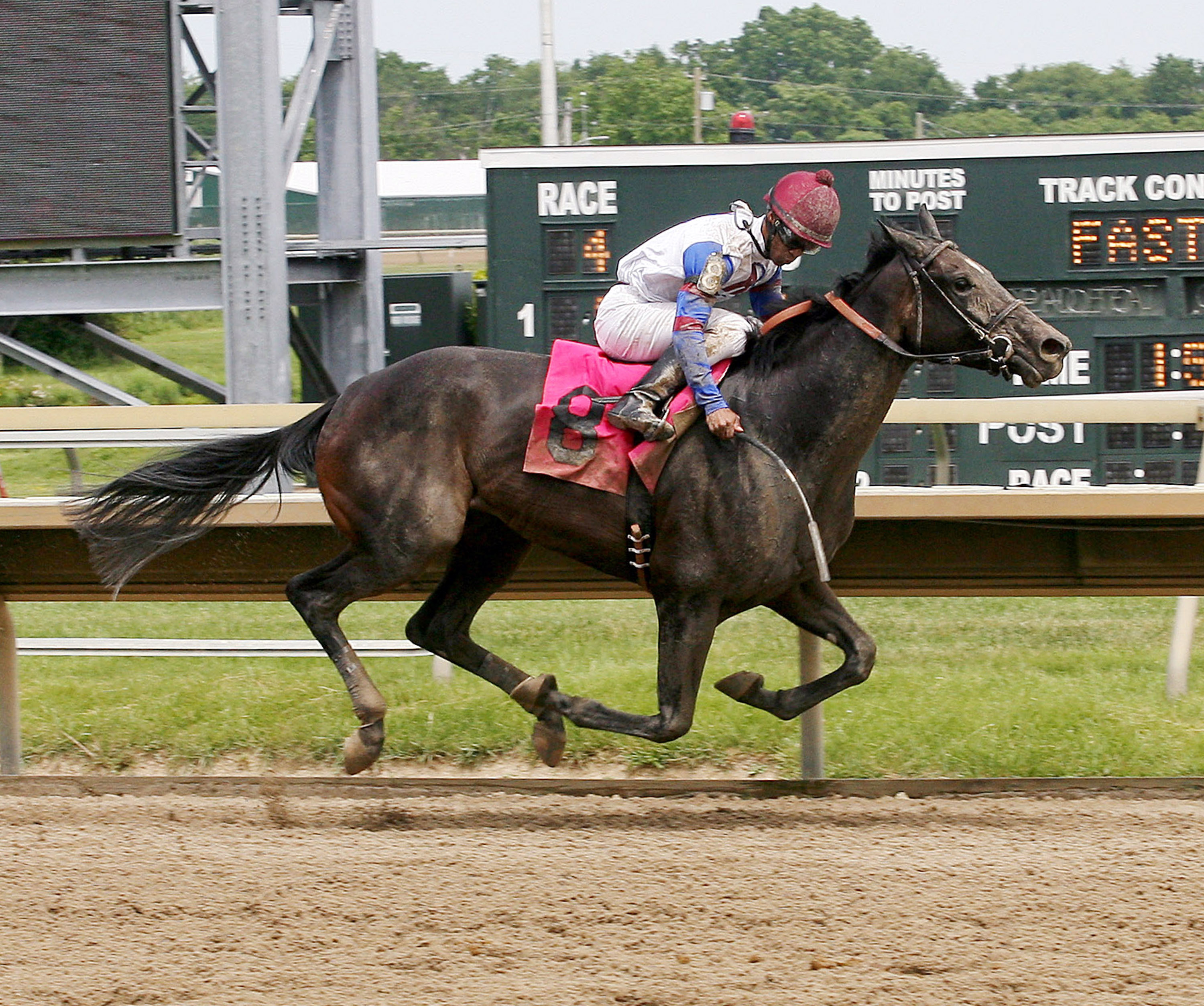 Catch My Drift wins a maiden race
