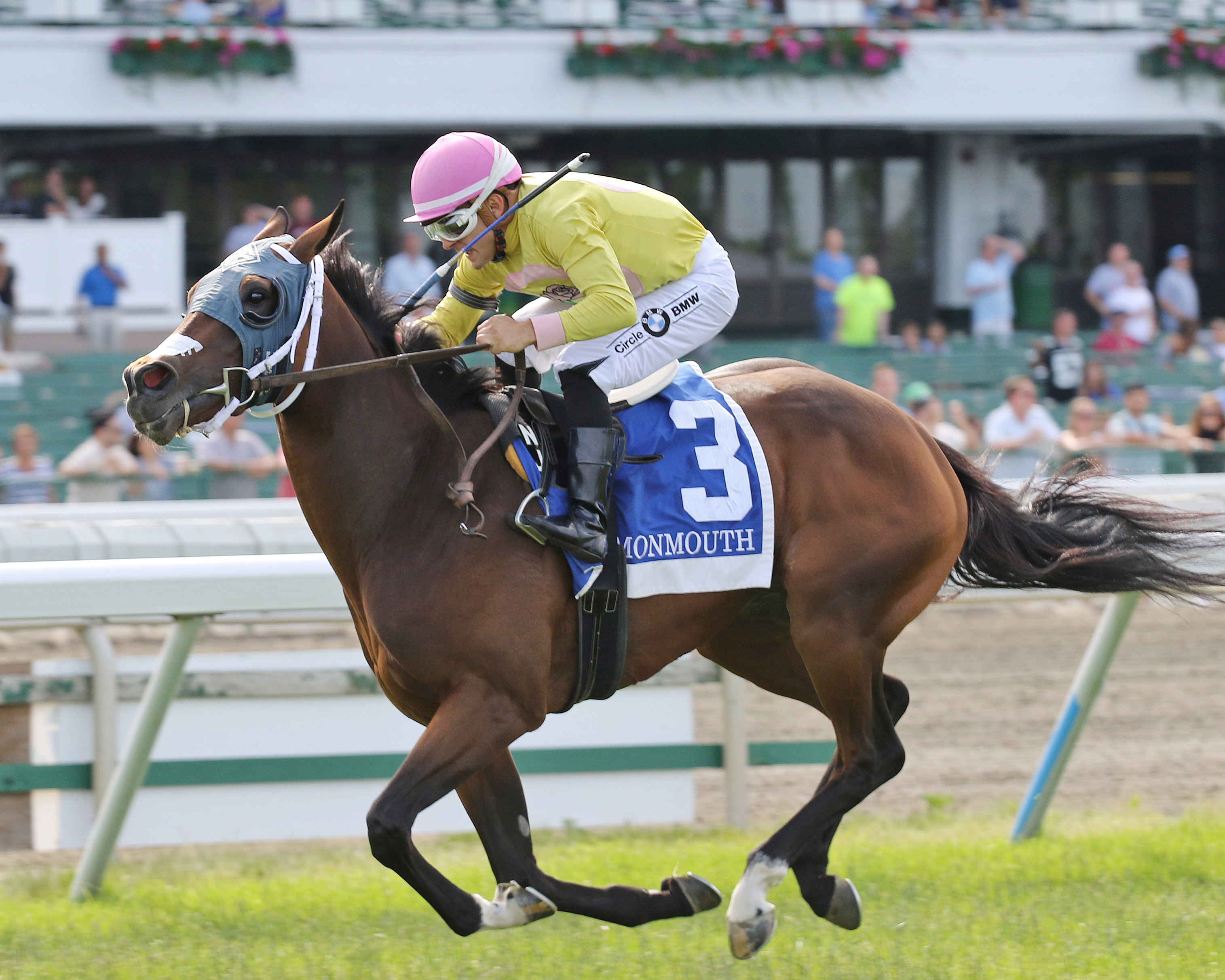 A Bit of Both wins the 2019 Honey Bee Stakes