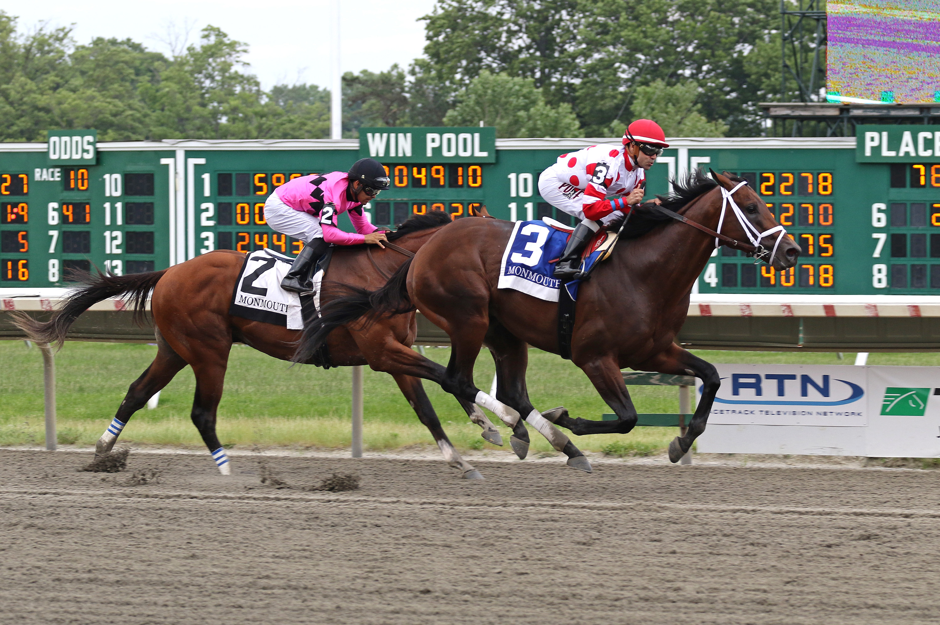 King for a Day wins the 2019 Pegasus