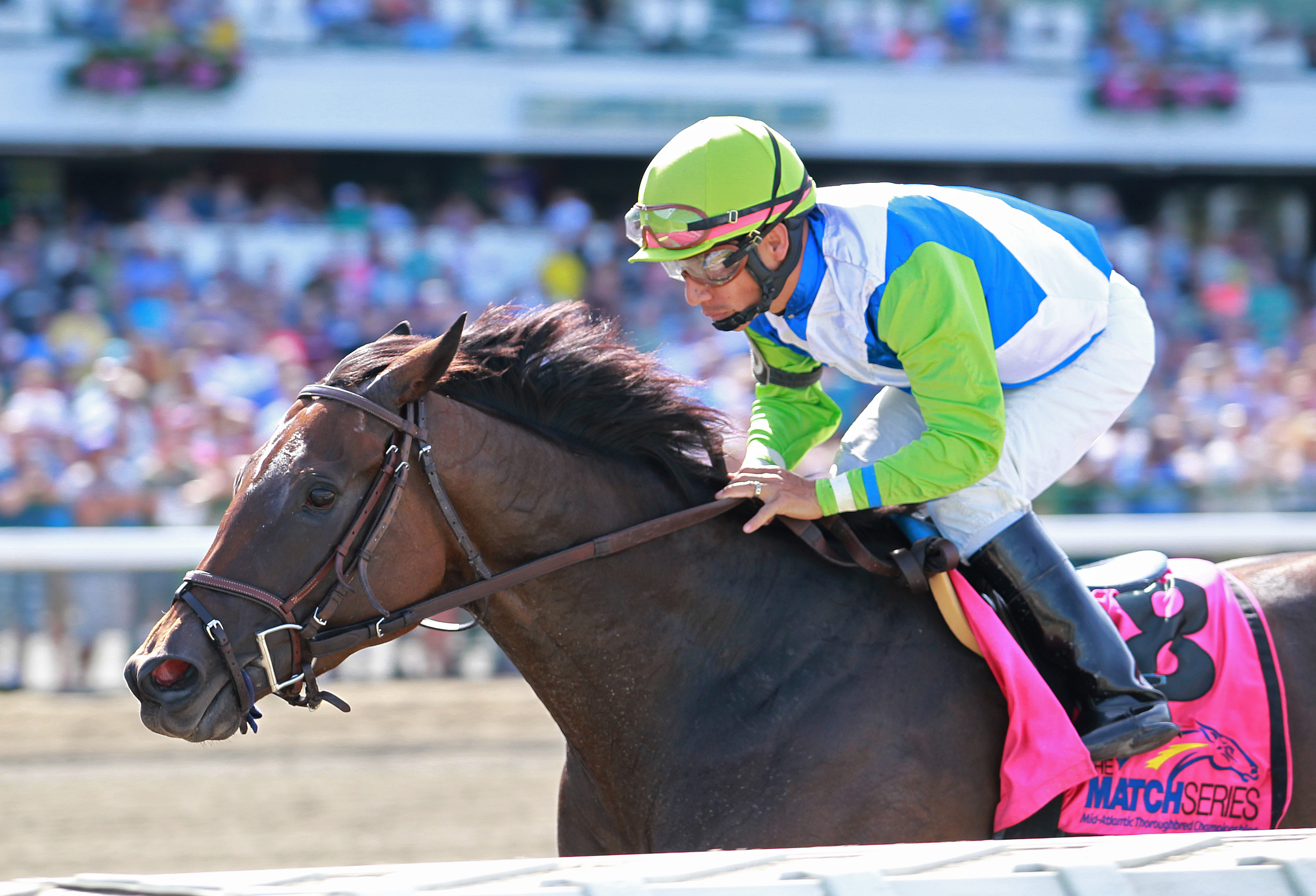 Chalon wins the Regret Stakes
