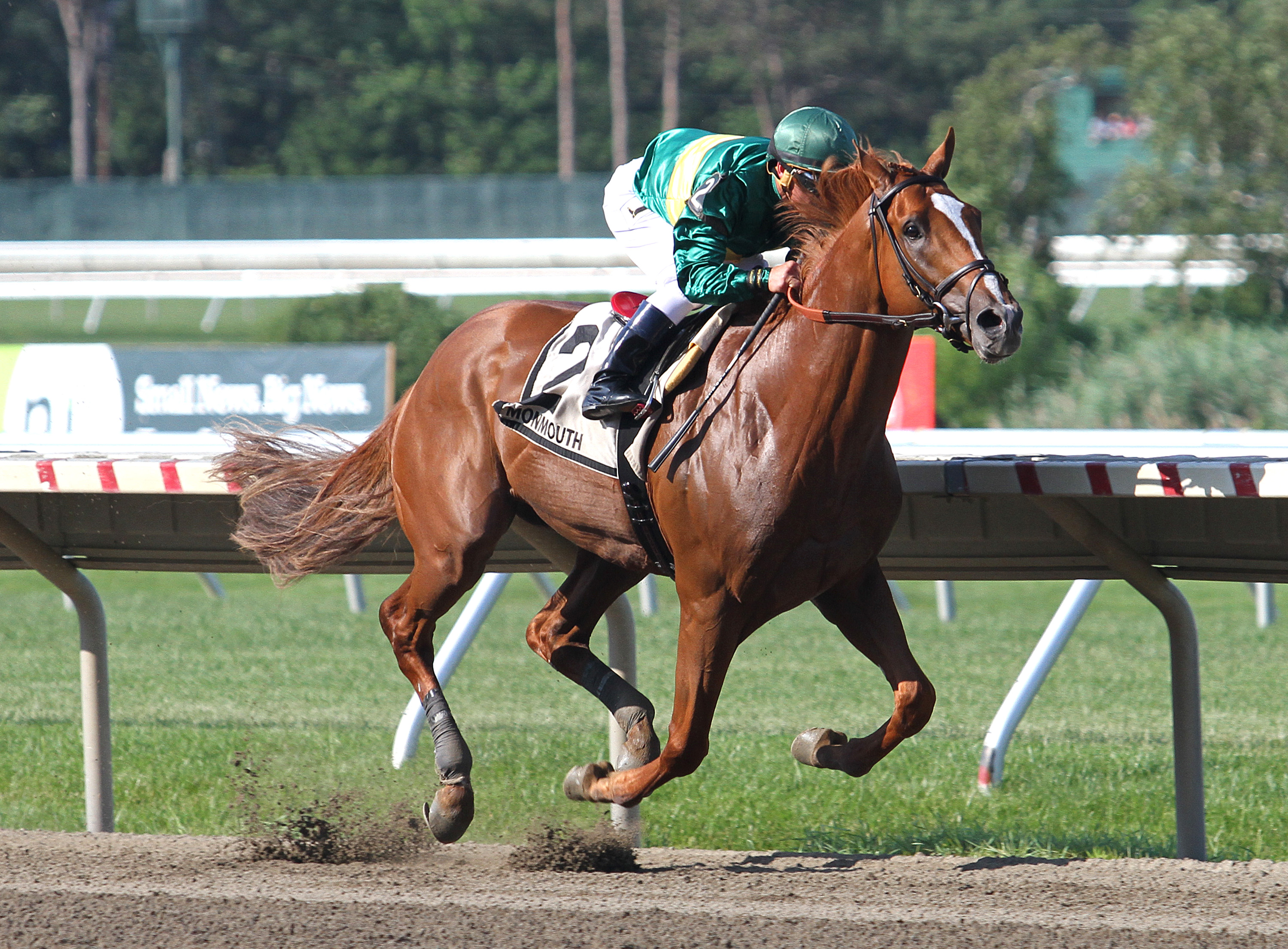 Timeline wins the Pegasus Stakes