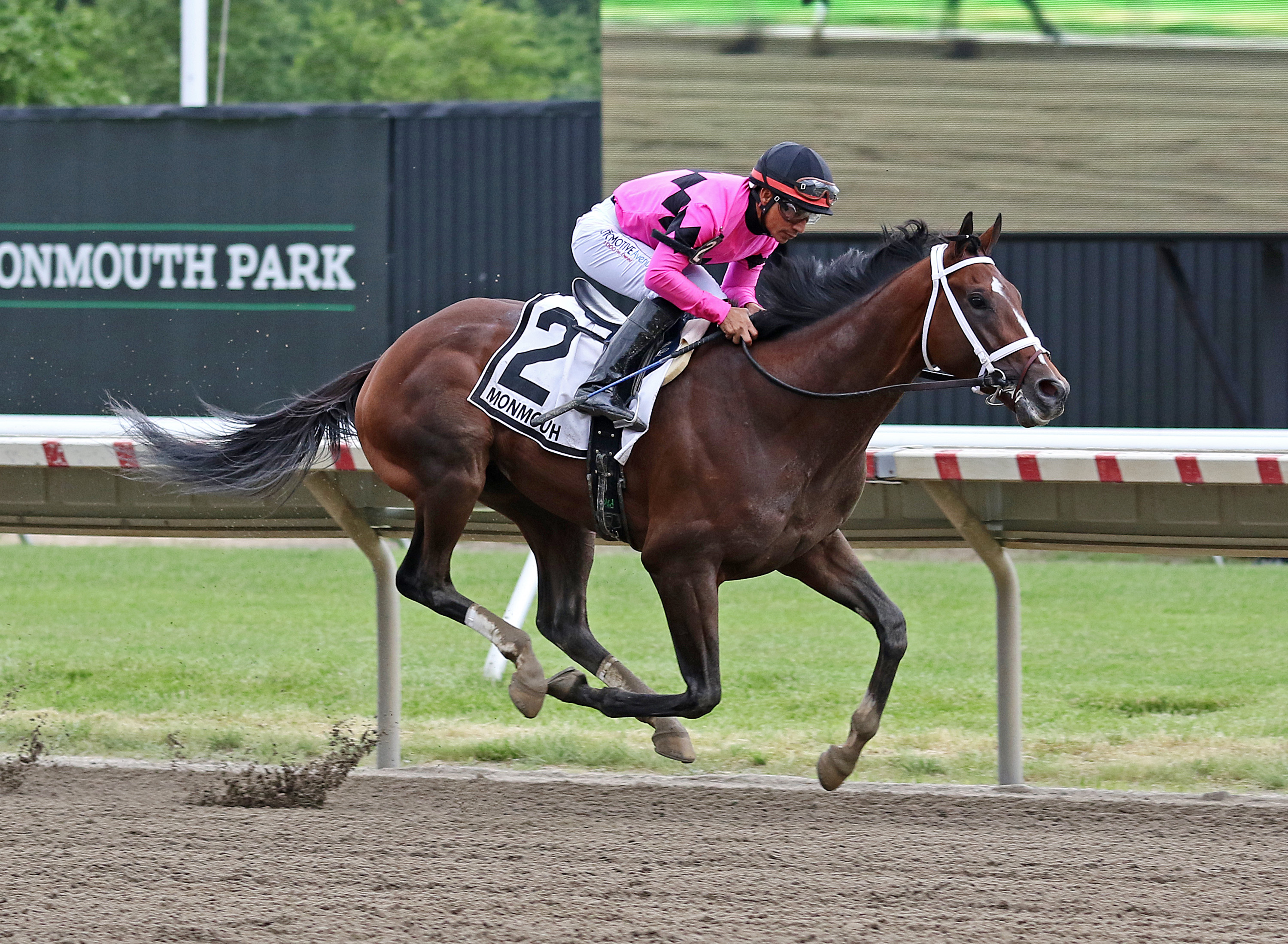 Home Brew wins Pegasus 6-18-2022