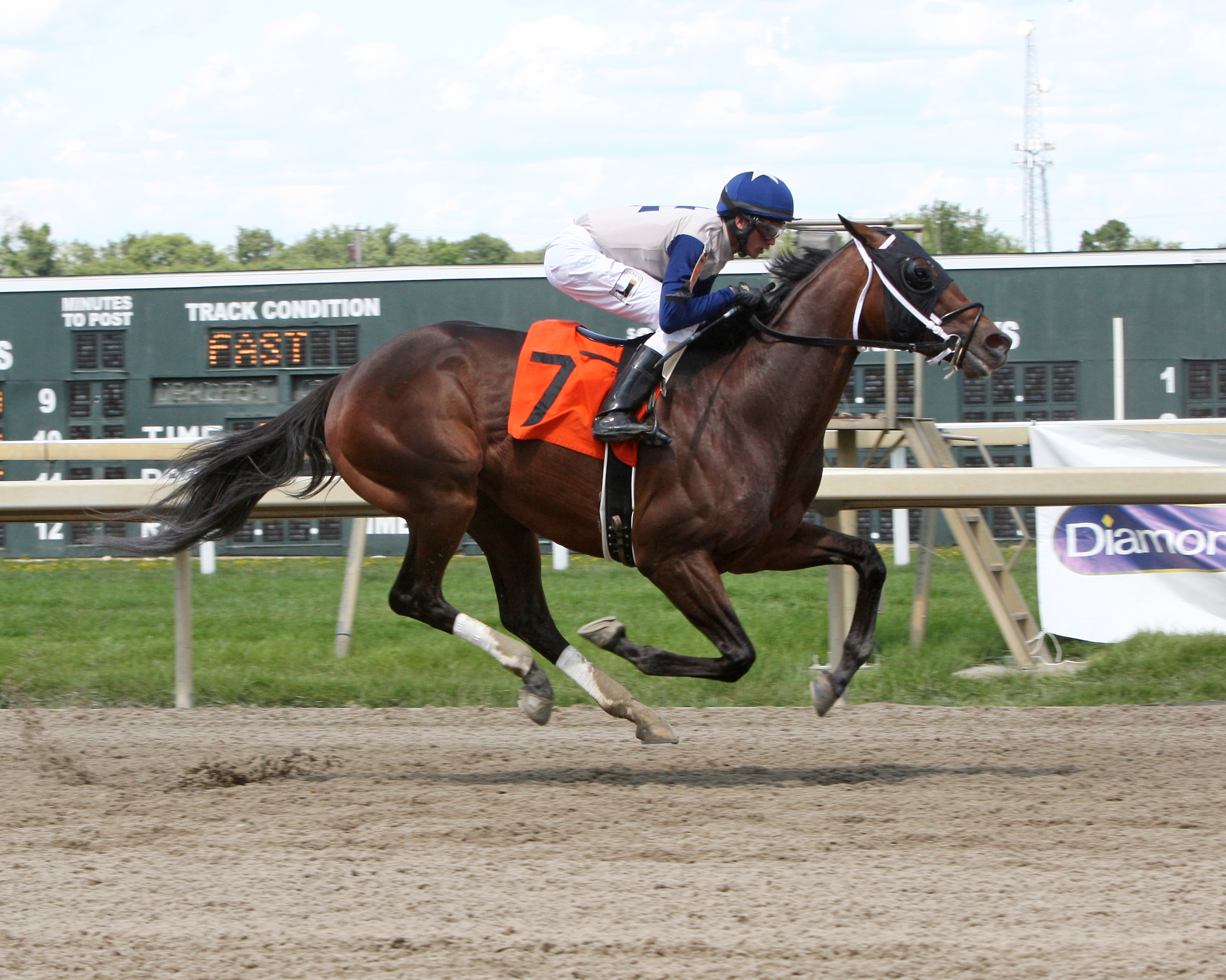 Chilly in Charge wins the 2019 Crowd Pleaser Stakes