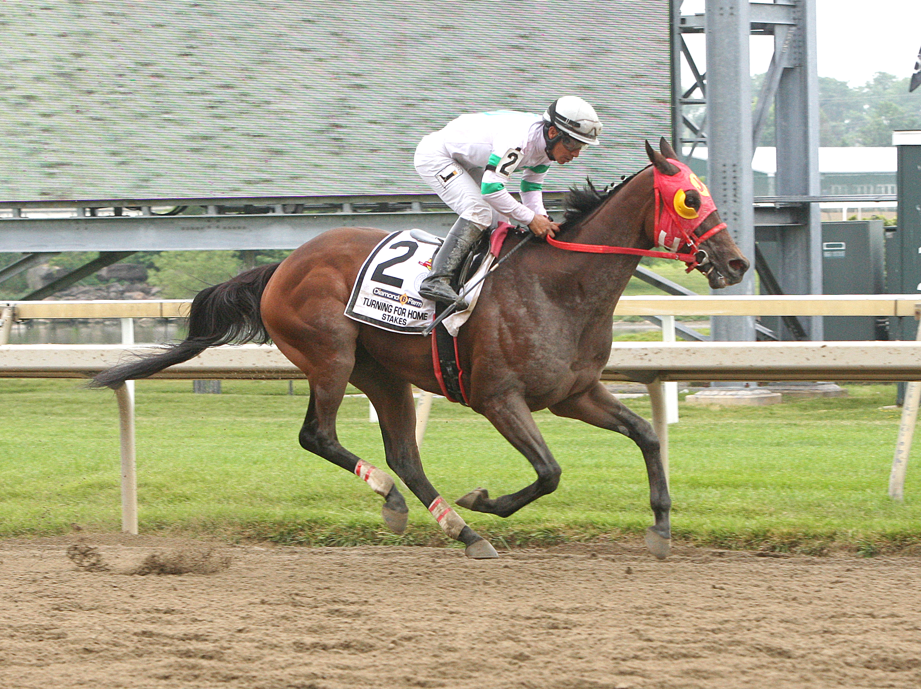 Aztec Sense wins the 2018 Turning for Home