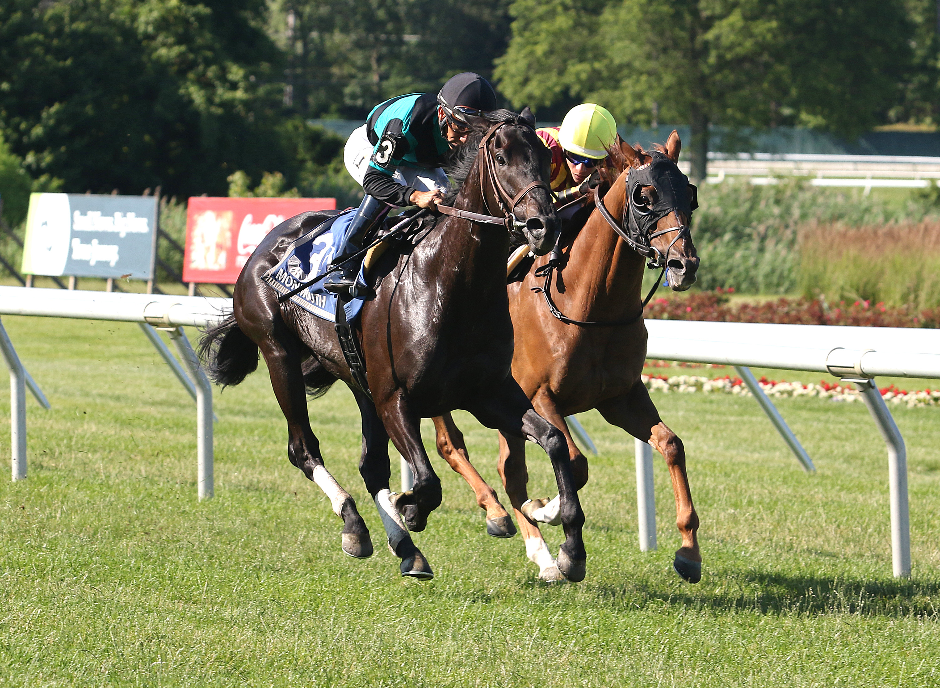 Golden Brown (left) defeats Irish Strait in the 2019 Dan Horn Handicap