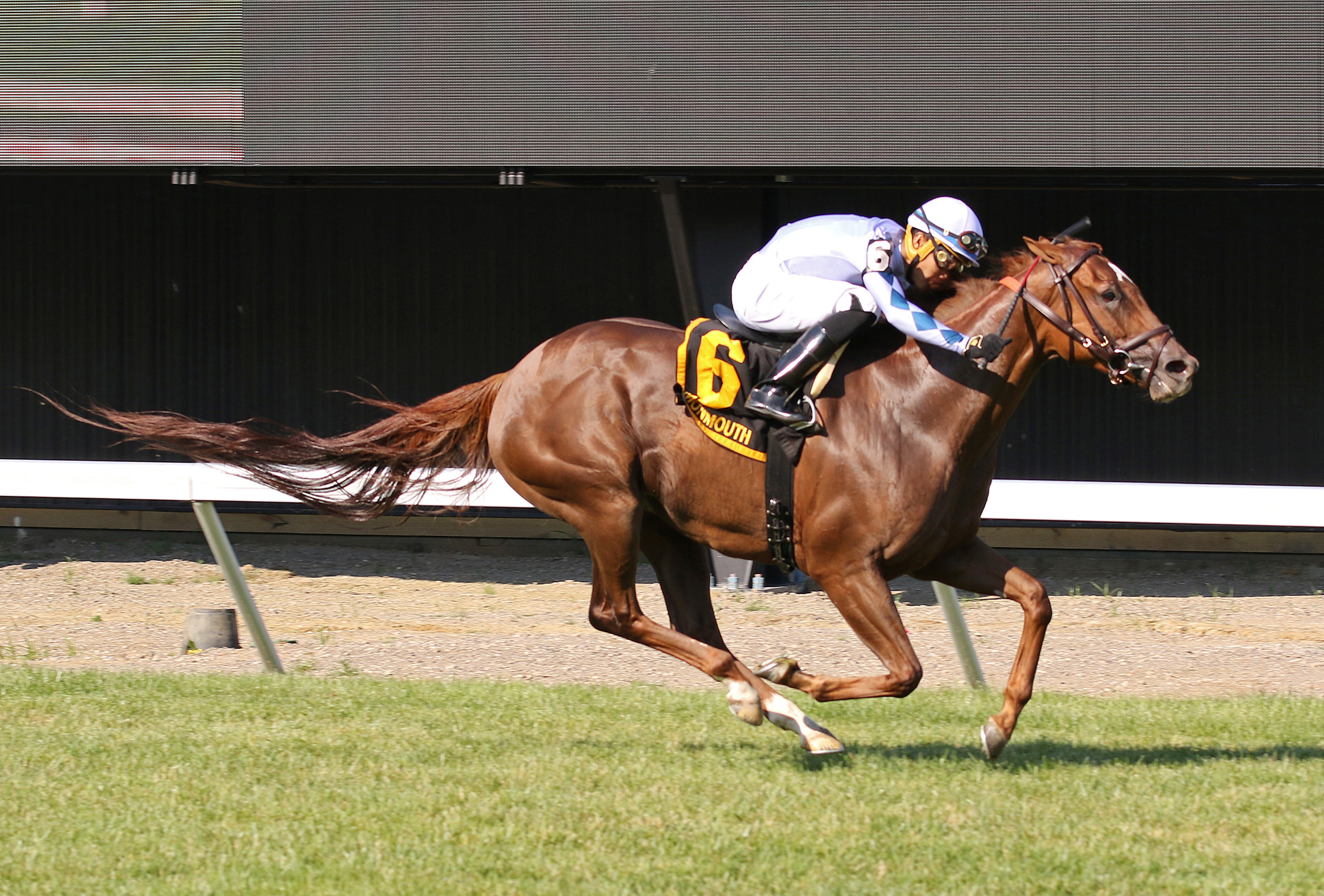 Bout Time wins Goldwood Stakes 6-25-2022