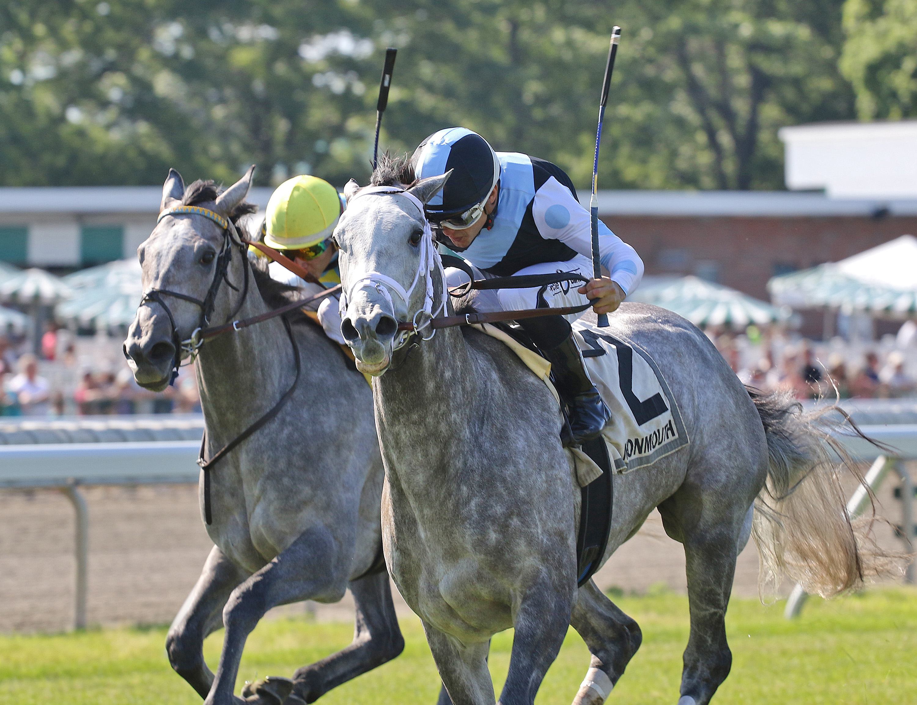 Valiance (right) wins the 2019 Open Mind Stakes
