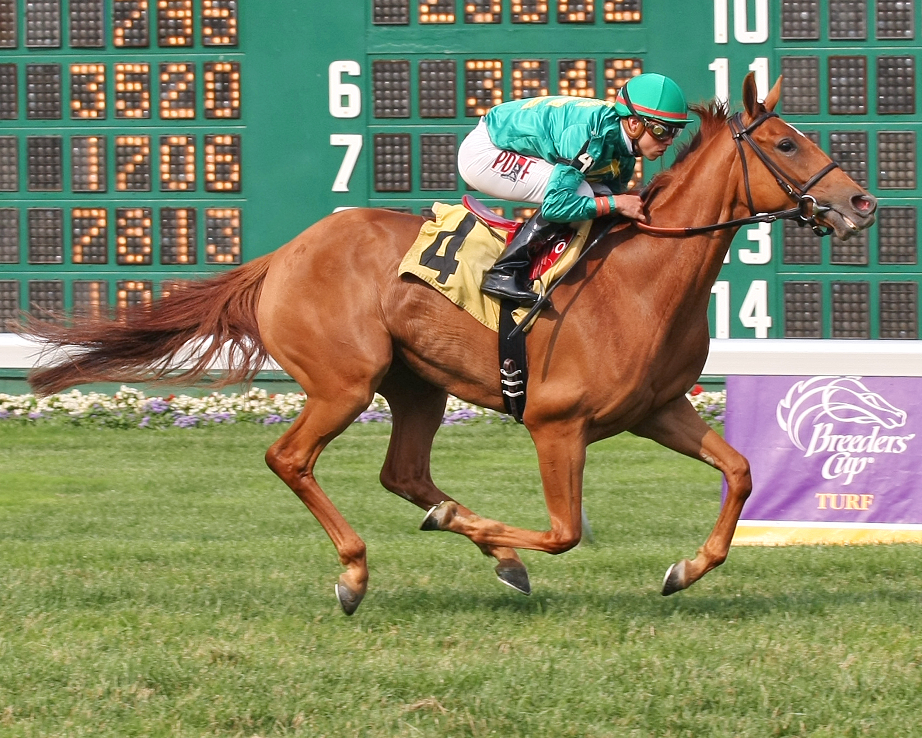 Casual Smile wins an allowance race