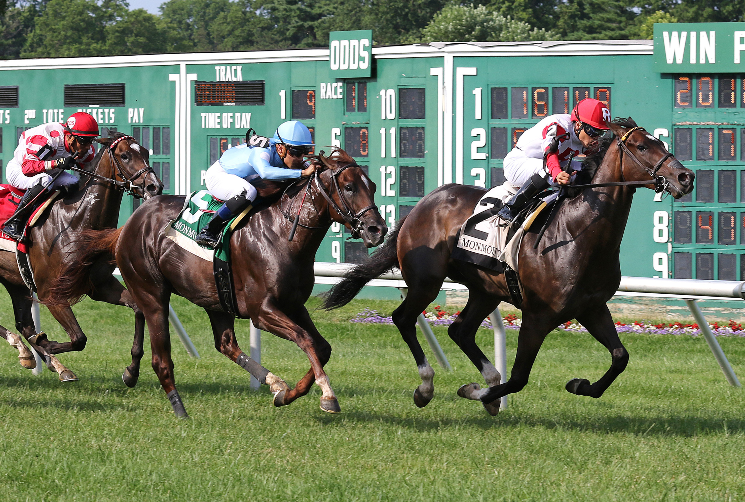 Chasing Artie (2) wins the My Frenchman 7-11-2021