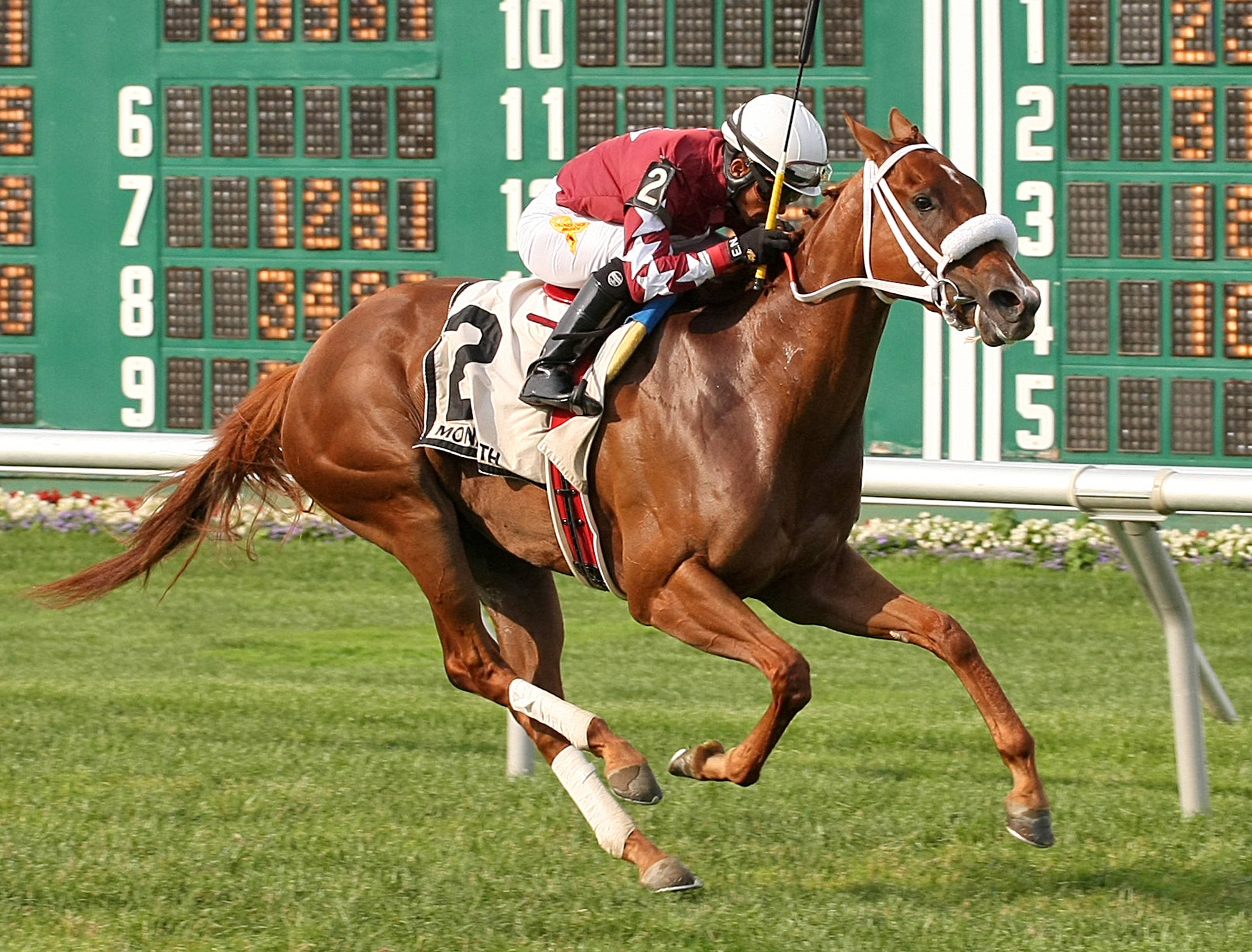 Lady Shipman wins 2015 Klassy Briefcase