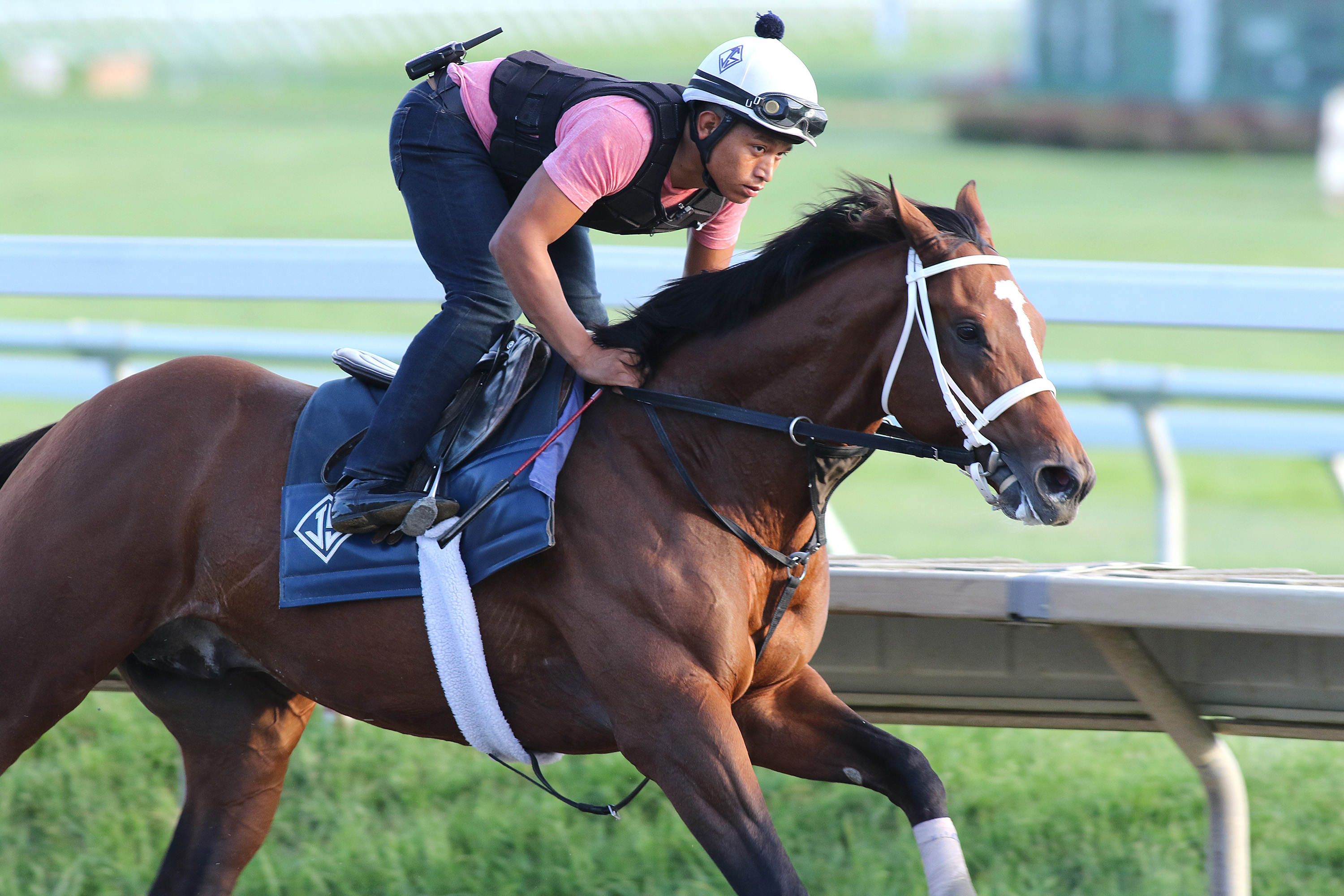 Maximum Security works at Monmouth Park on 7.15.19