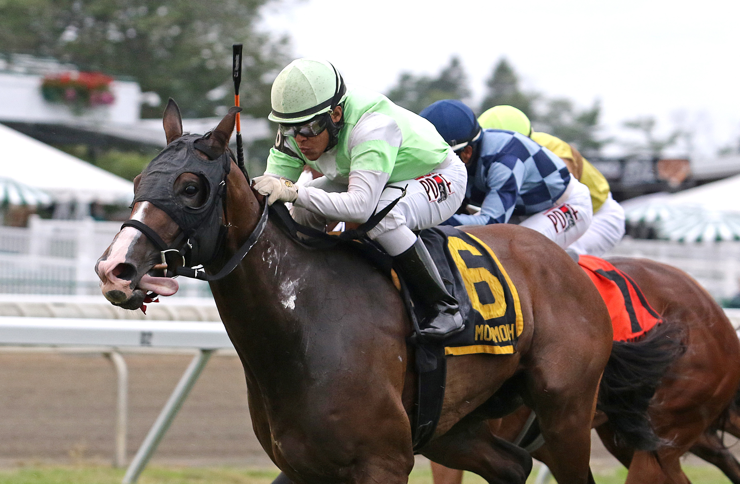 Miss Deplorable wins 2018 Blue Sparkler