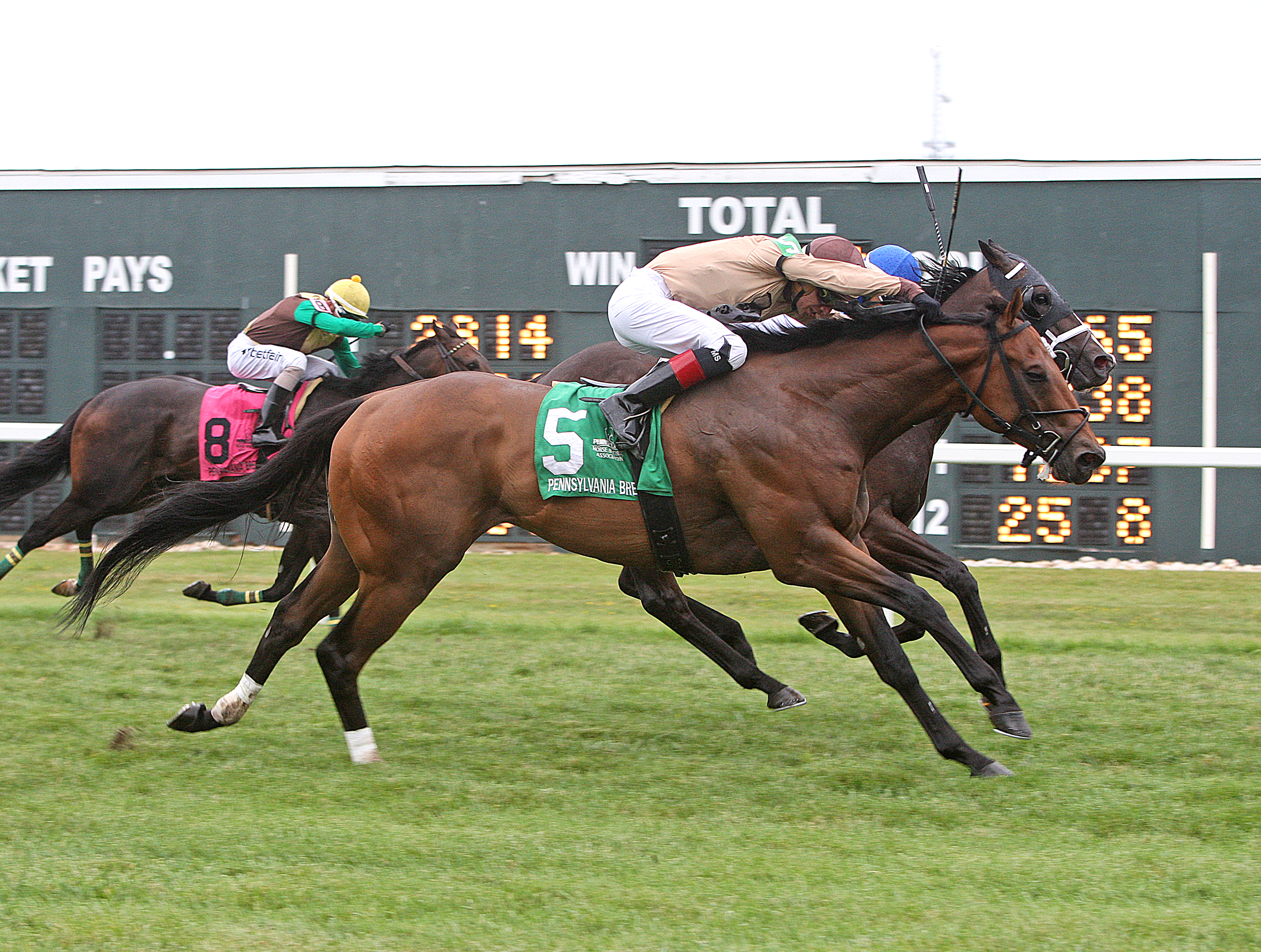 Fielder wins2018 Marshall Jenny Stakes