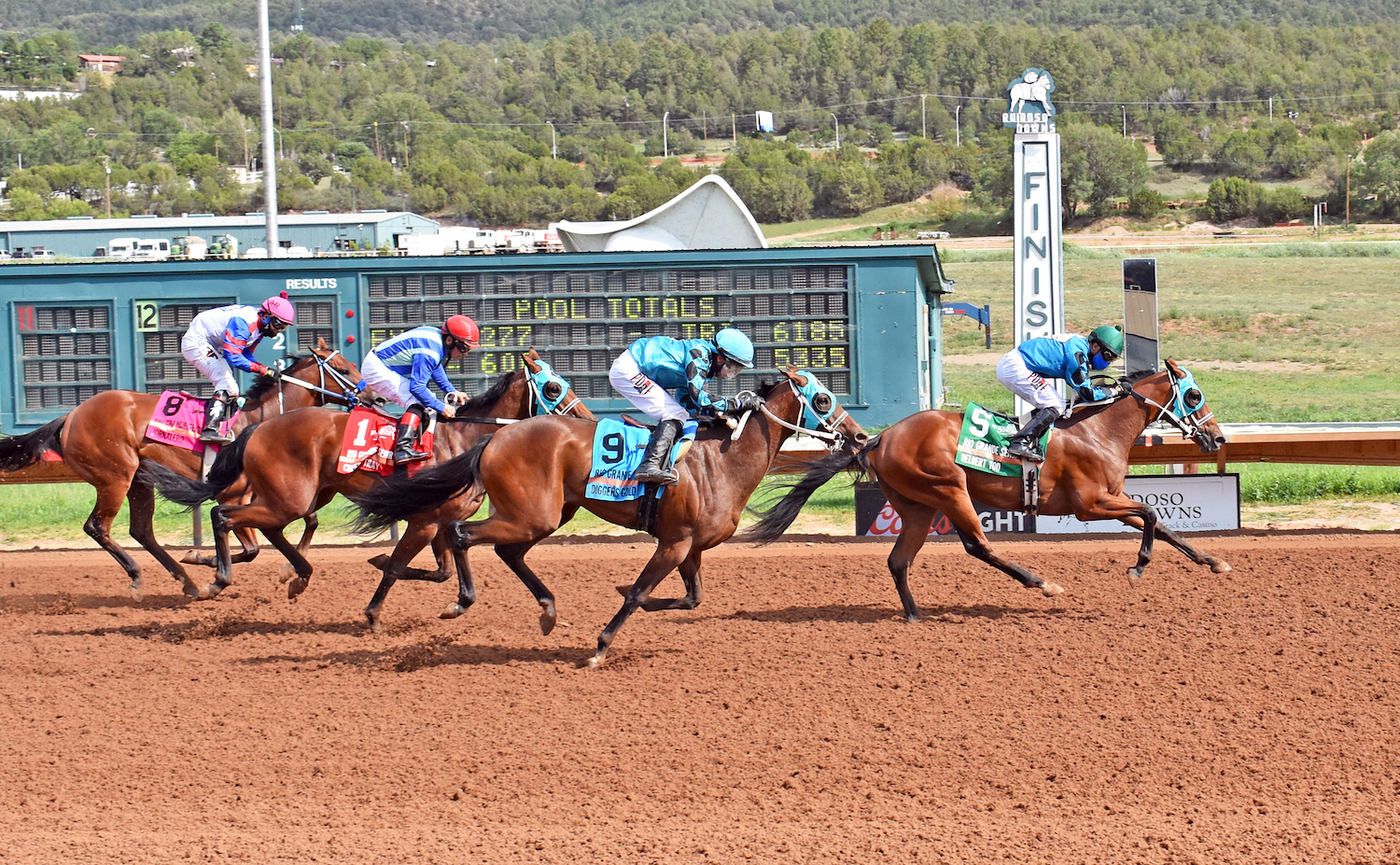 Delbert Too wins Rio Grande Senor Thoroughbred Futurity 8-16-2020