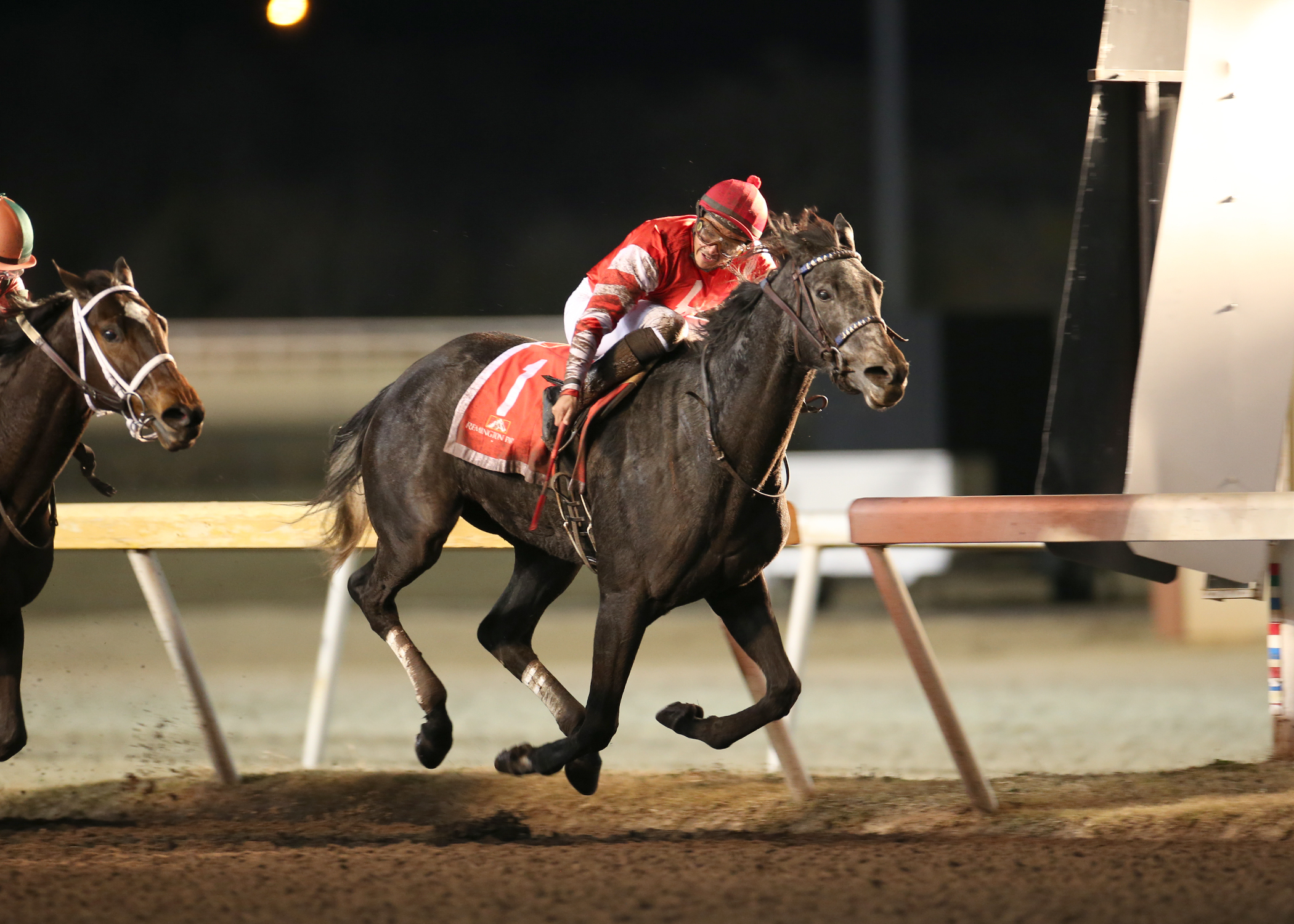 Jeweled Princess wins She's All In 12-19-2020