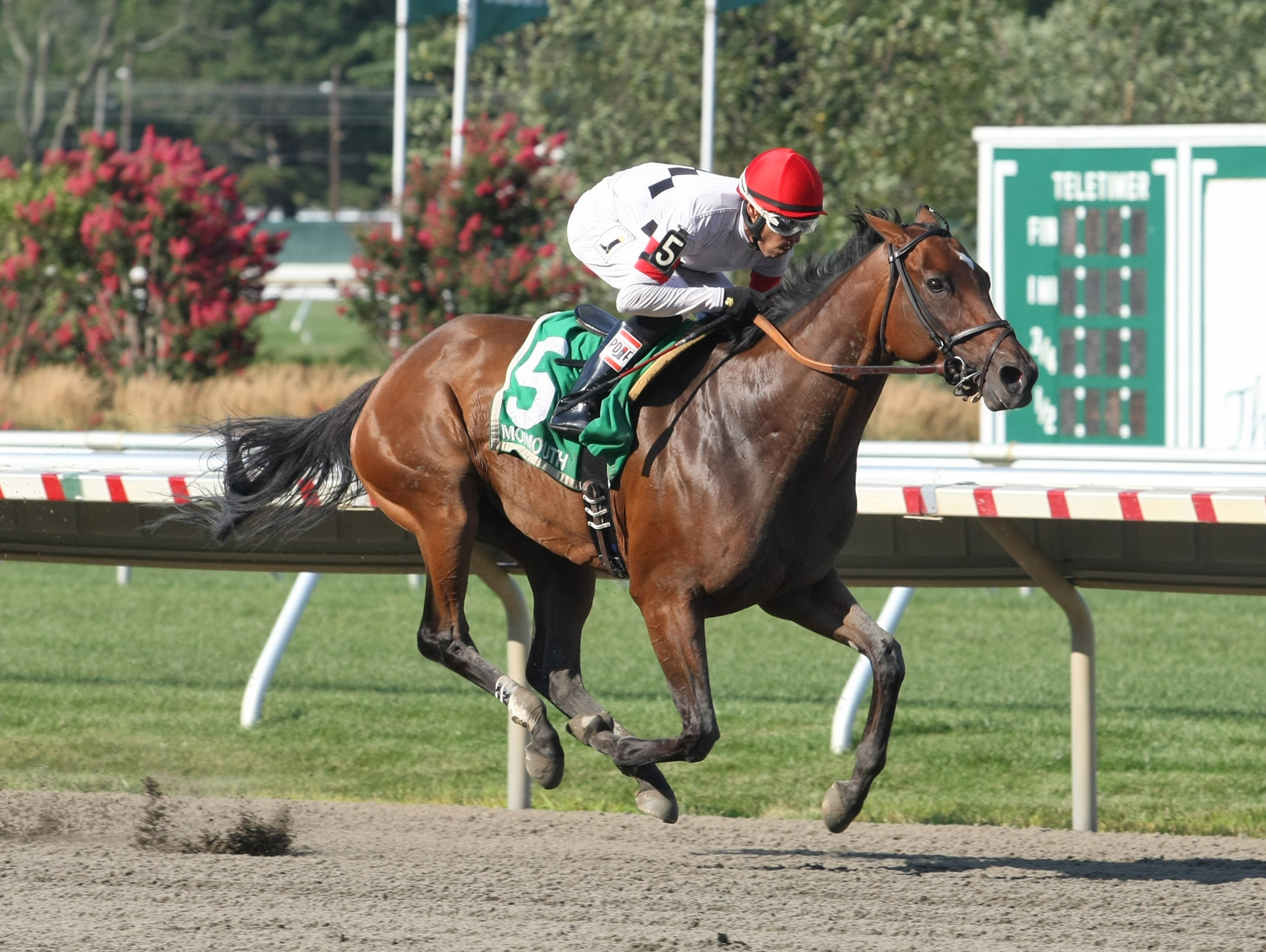 Room for Me wins 2015 Regret