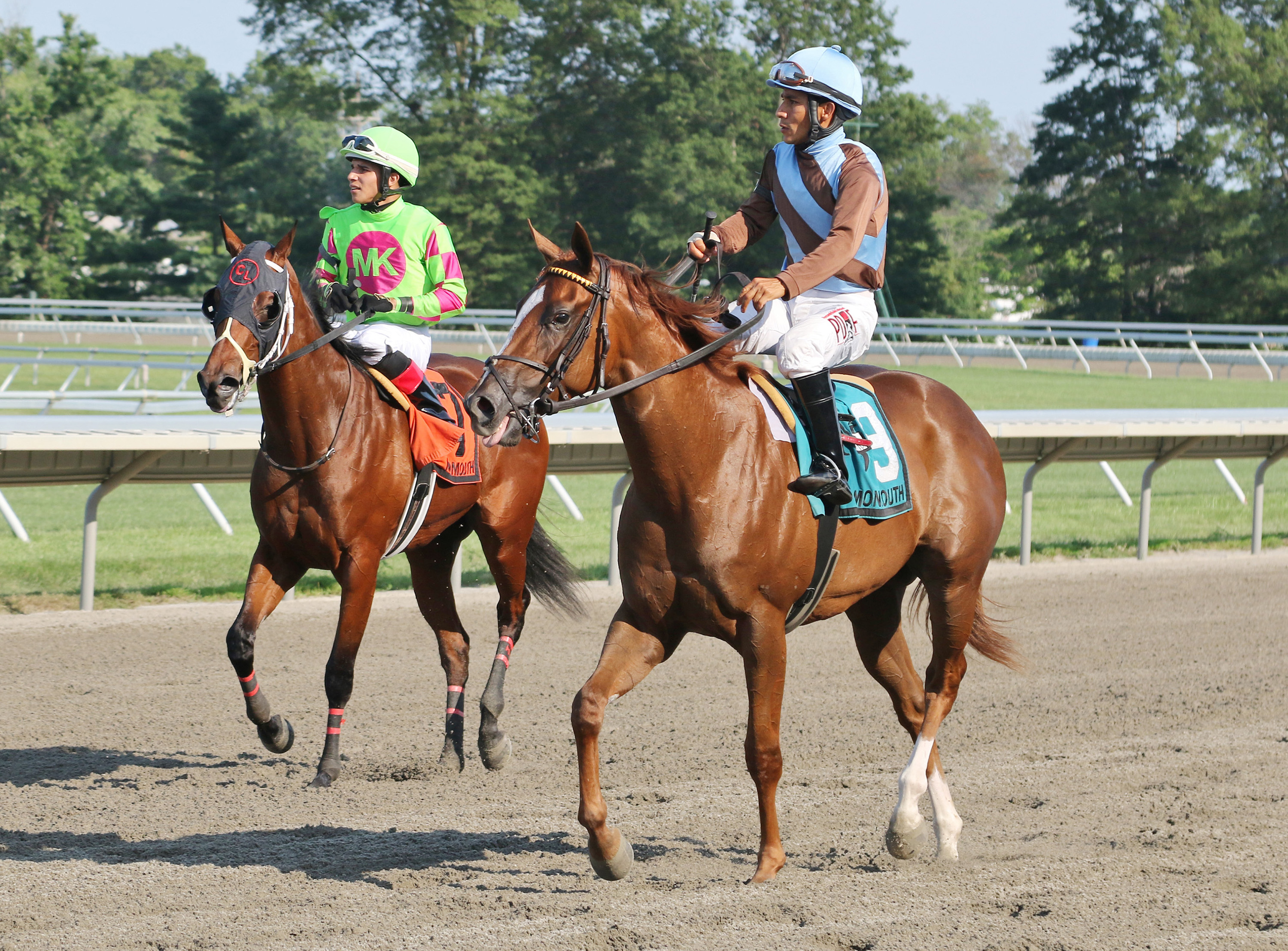 Foolish Humor (No. 9) and Miss J McKay after the 2019 Colleen Stakes at Monmouth