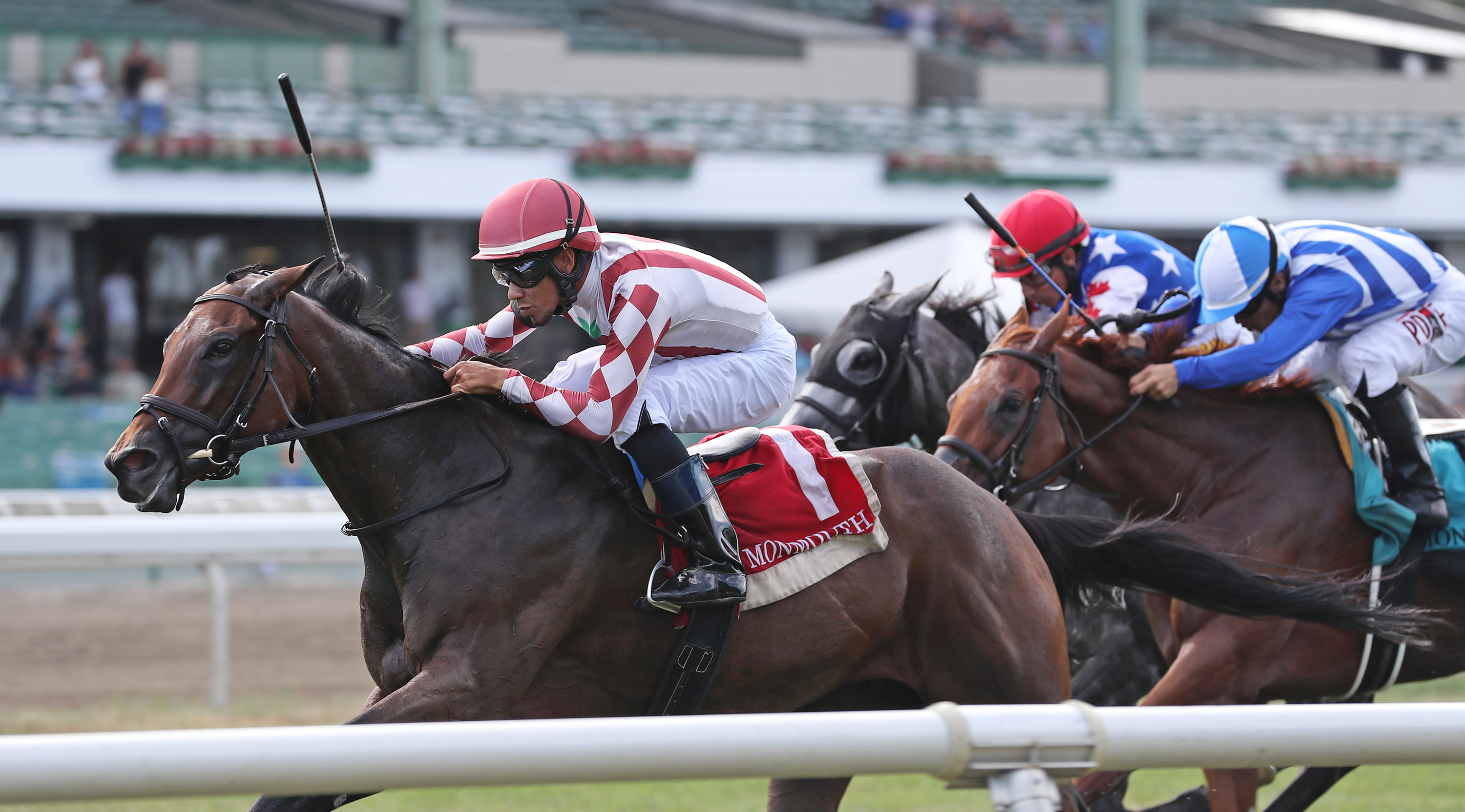 Bay Storm wins Incredible Revenge 8-7-2022