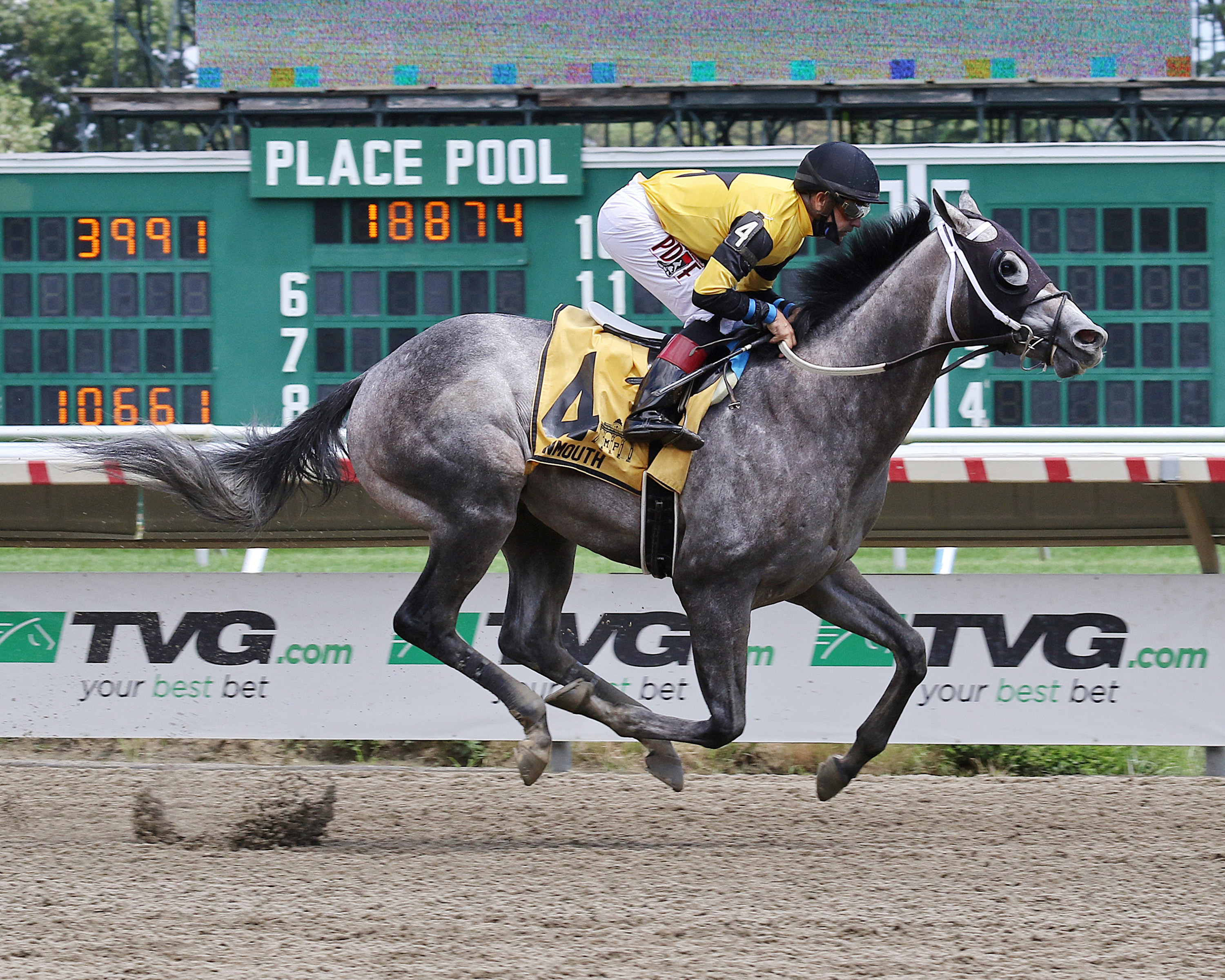 County Final wins Tyro Stakes 8-8-2020