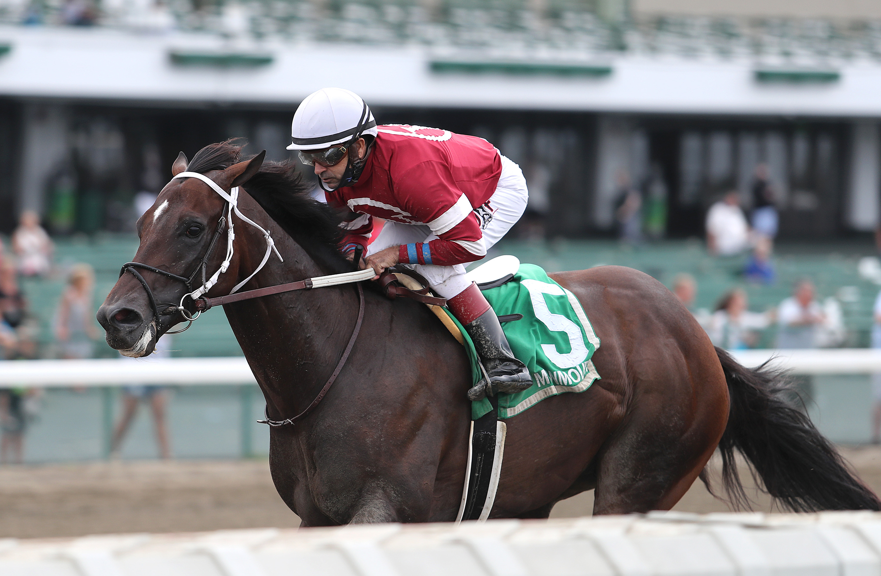 Pneumatic wins Pegasus Stakes 8-15-2020