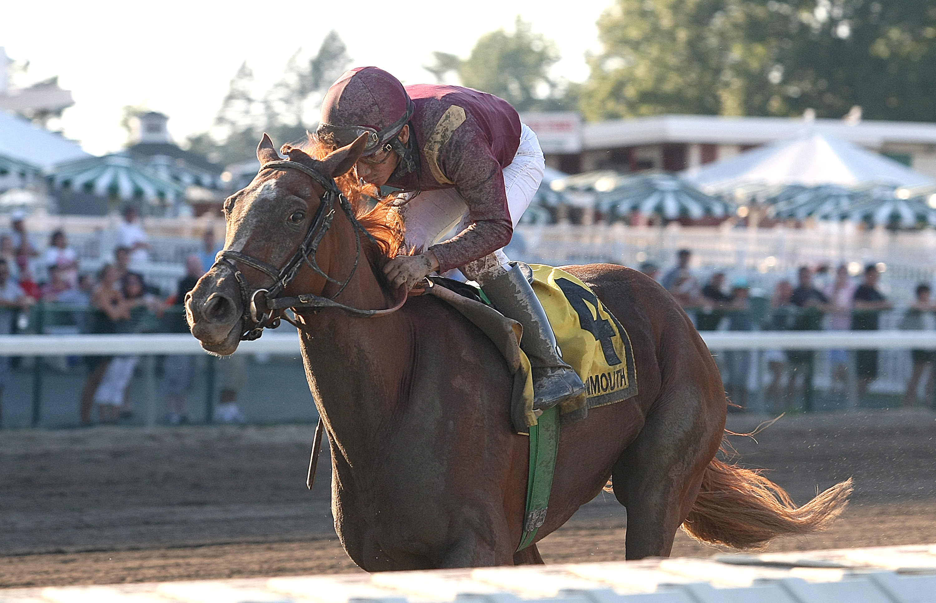 Delightful Joy wins 2015 Monmouth Oaks