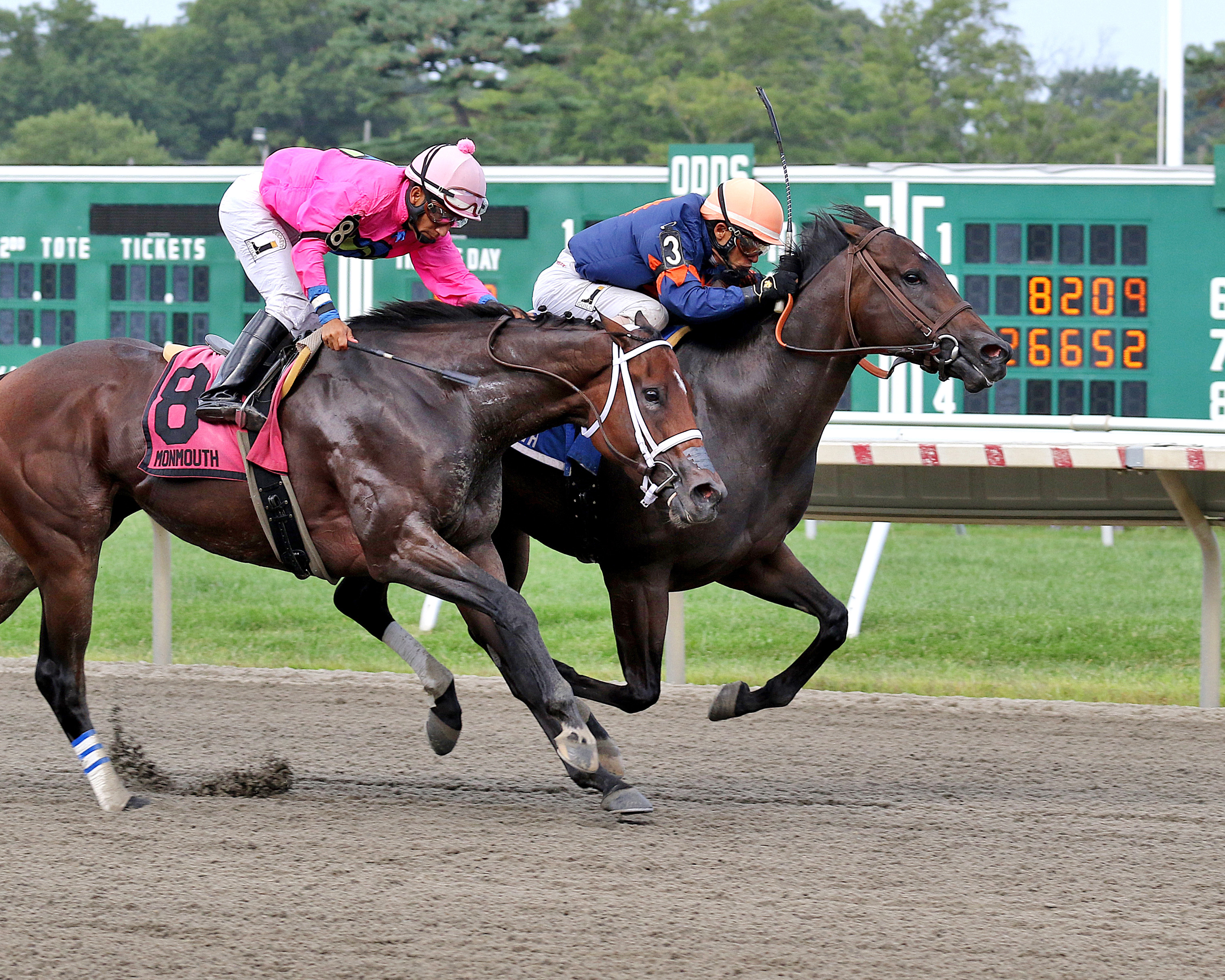 Liz's Cable Girl wins 2018 Eleven North Handicap