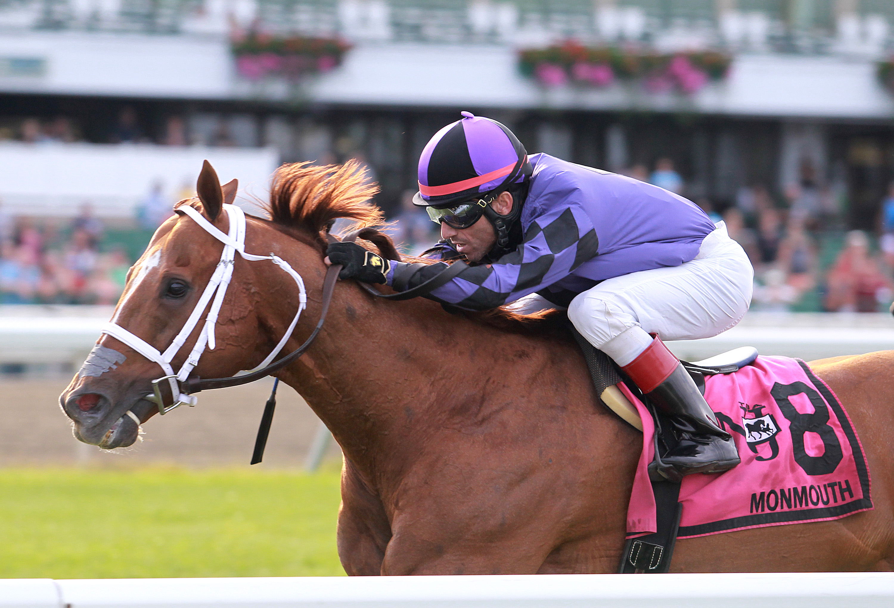Rainbow Heir wins the NJ Breeders Handicap 8.27.17