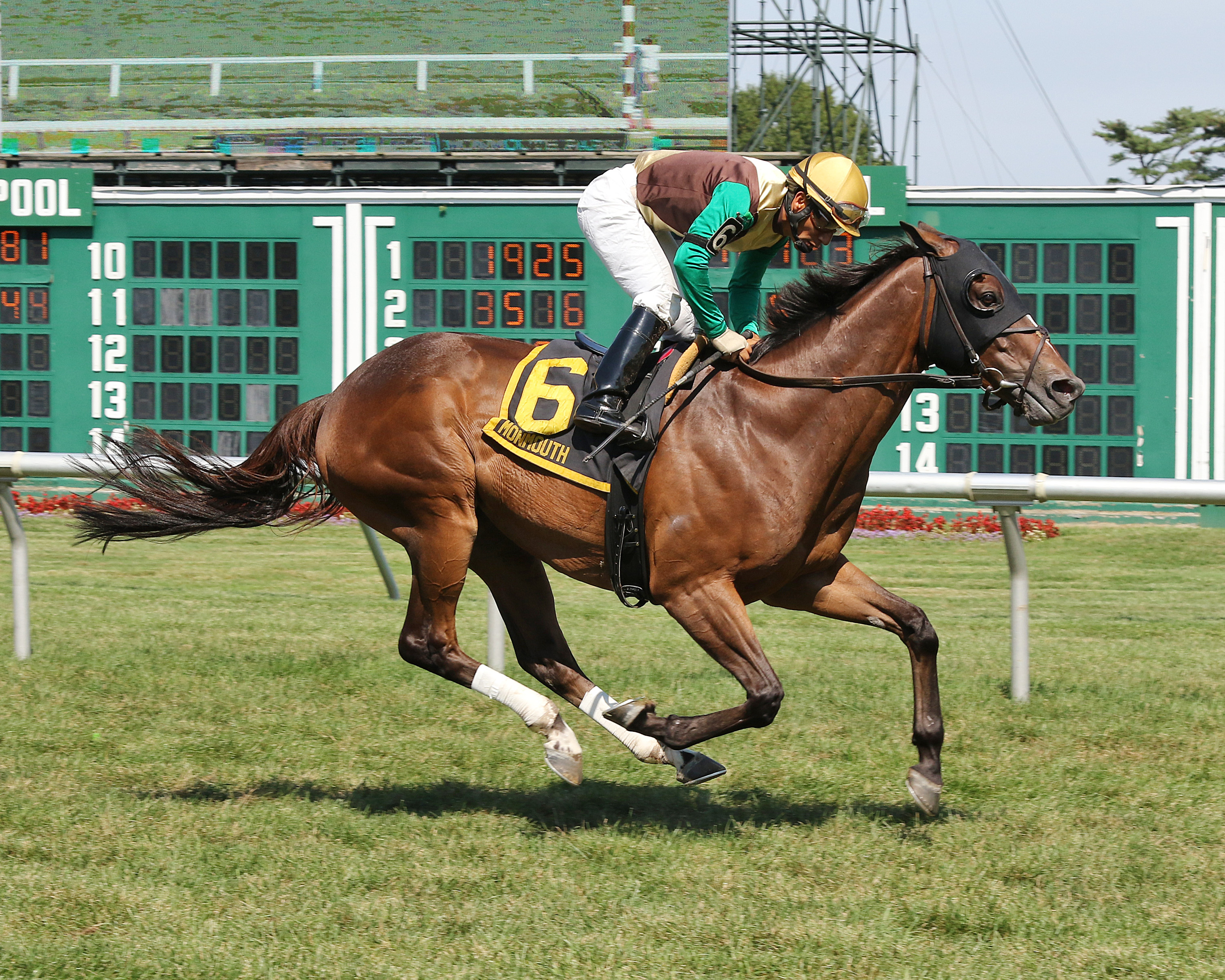 Postulation wins the 2019 Presious Passion Stakes