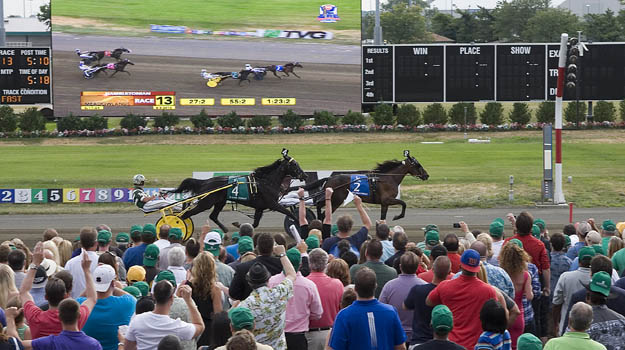 Hambo crowd