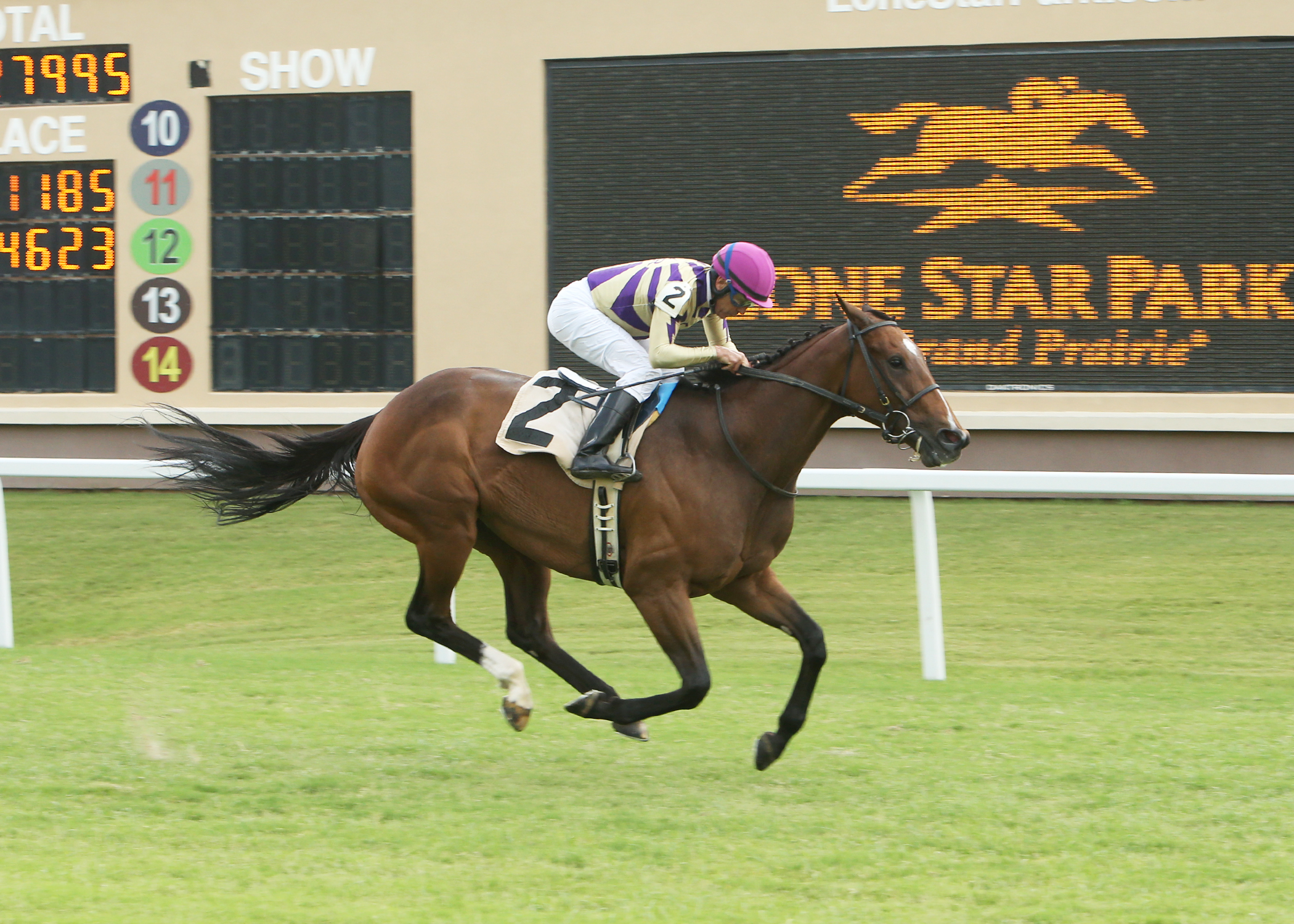 Curlin's Journey wins the Wasted Tears 6-27-2021