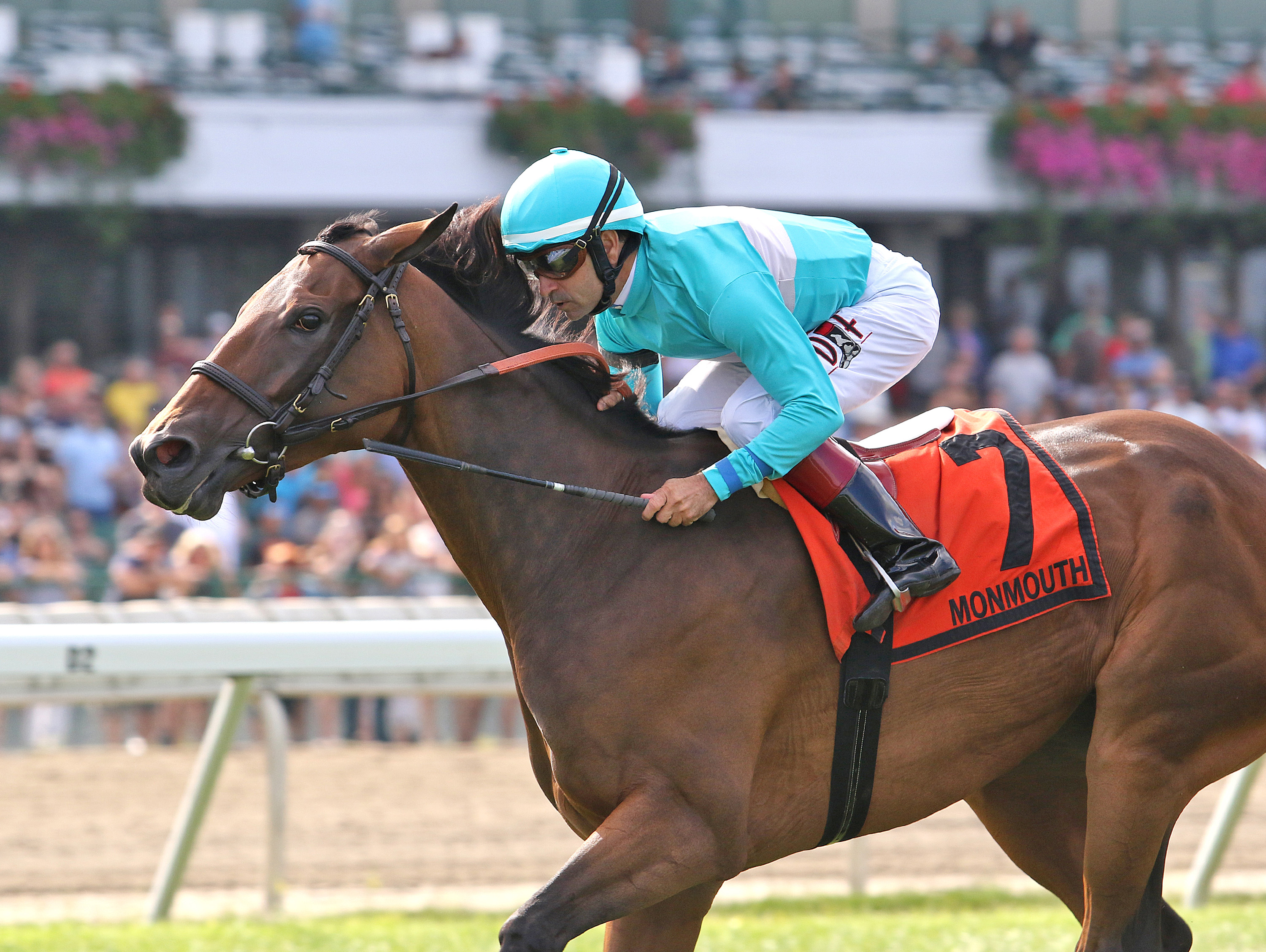 Elysea-s World wins the 2018 Violet Stakes