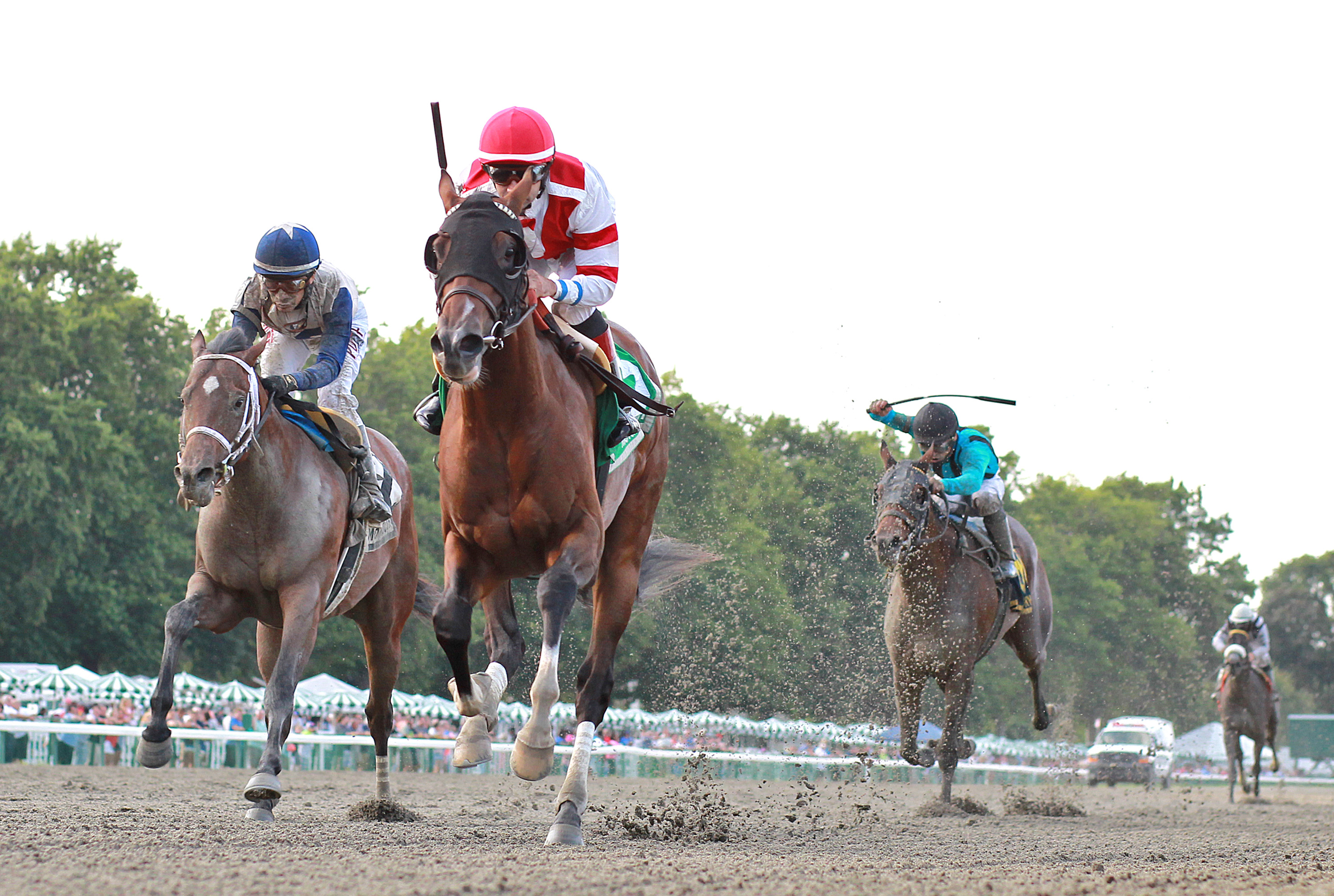 Unionizer wins 2018 Sapling
