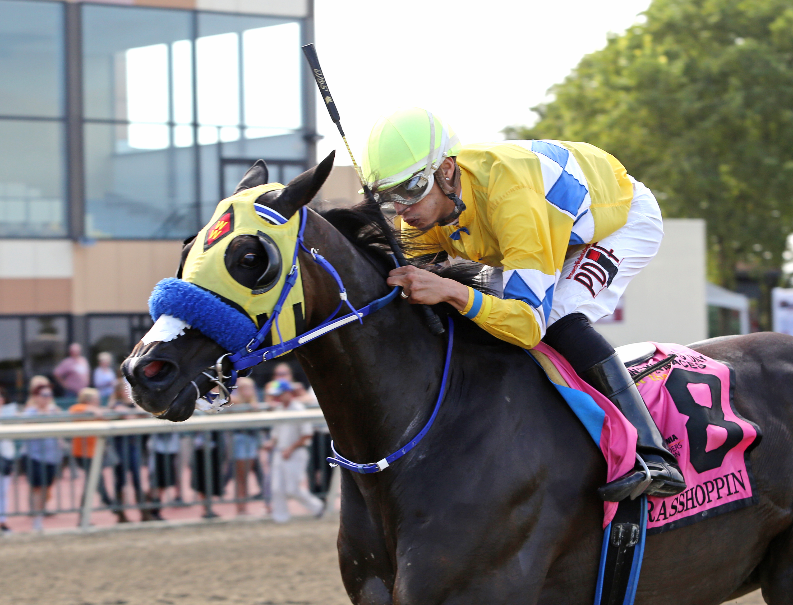 Grasshoppin wins the 2018 Roanoke Stakes