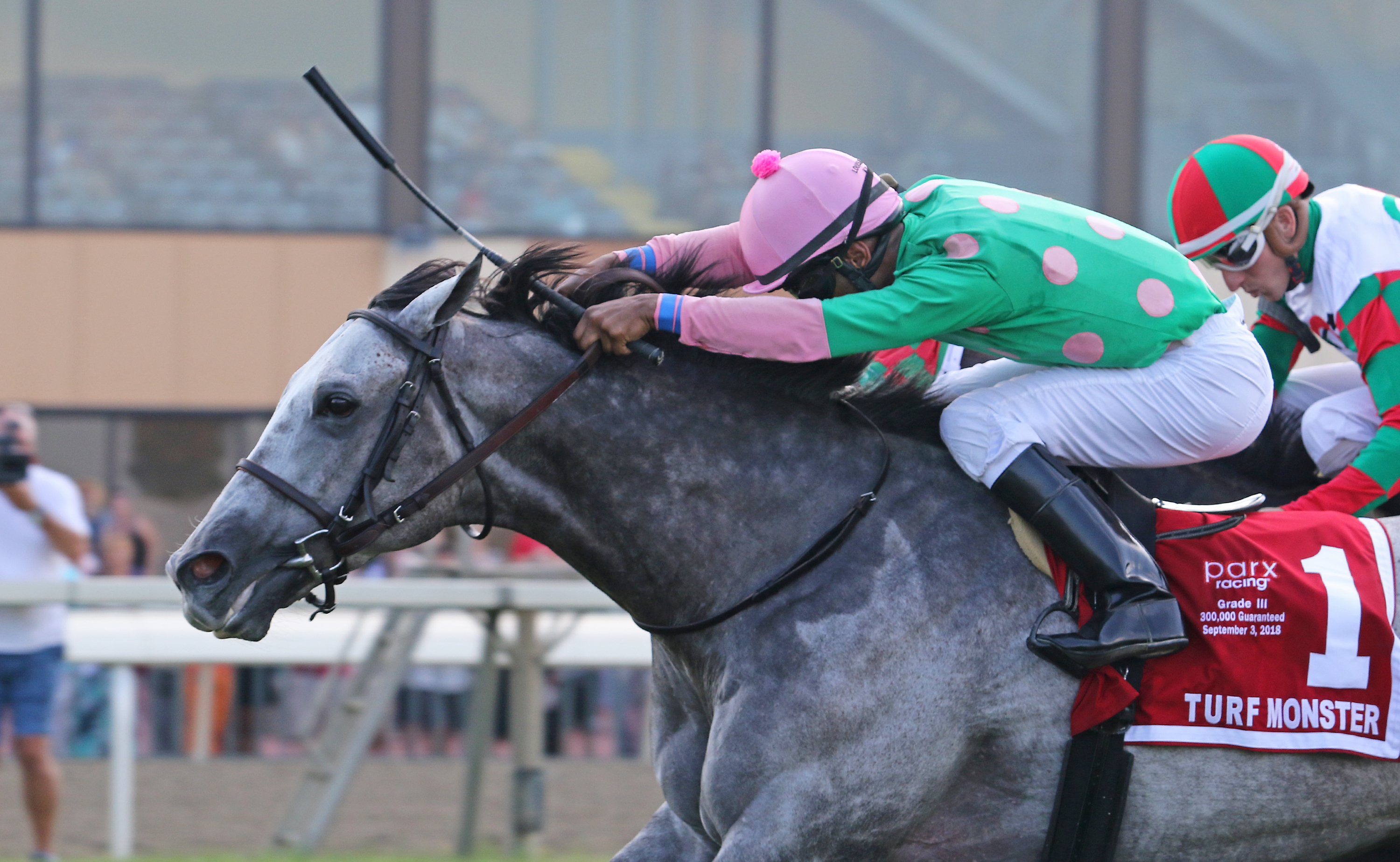 Pure Sensation wins 2018 Turf Monster