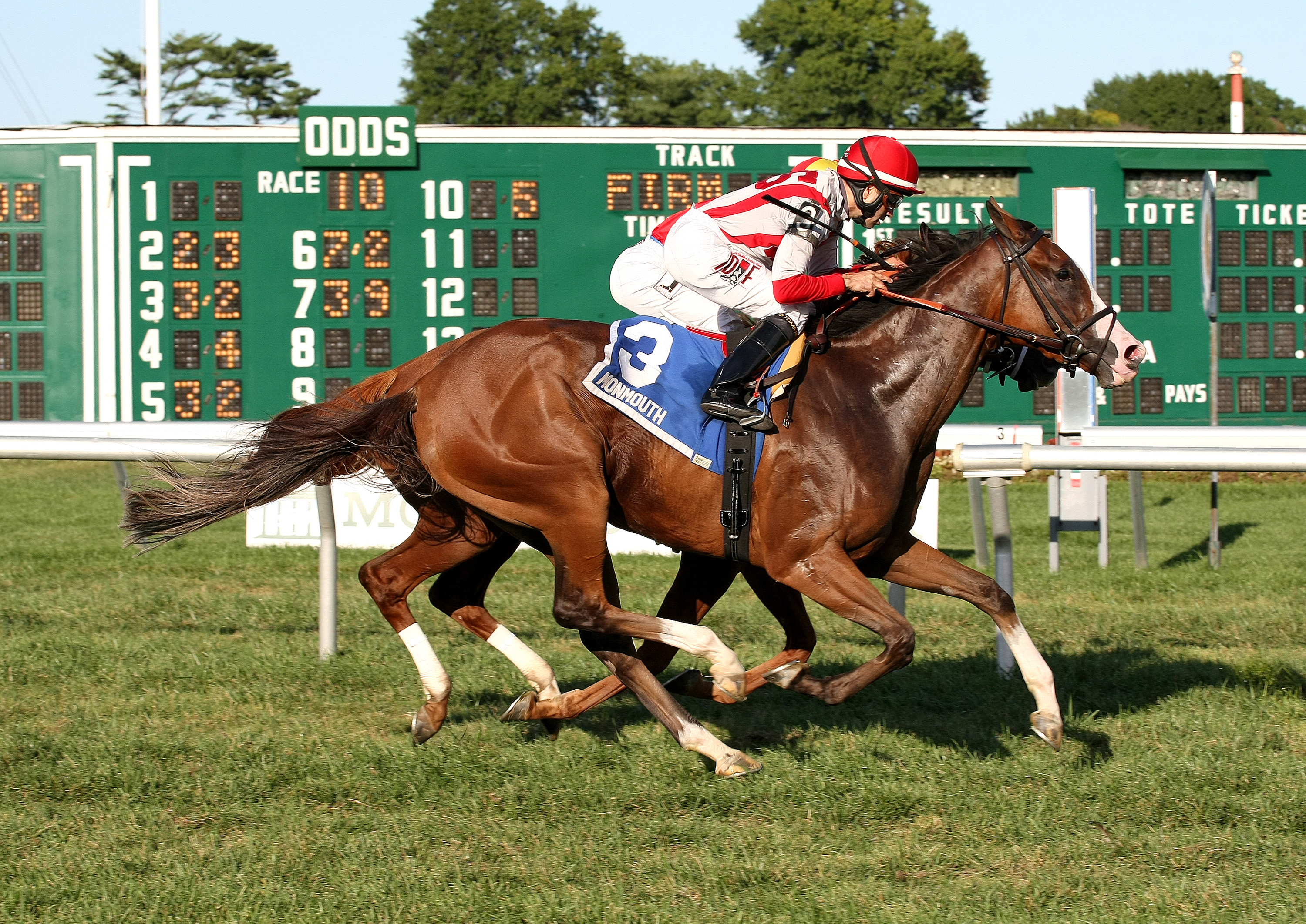 Strict Compliance wins 2015 Boiling Springs