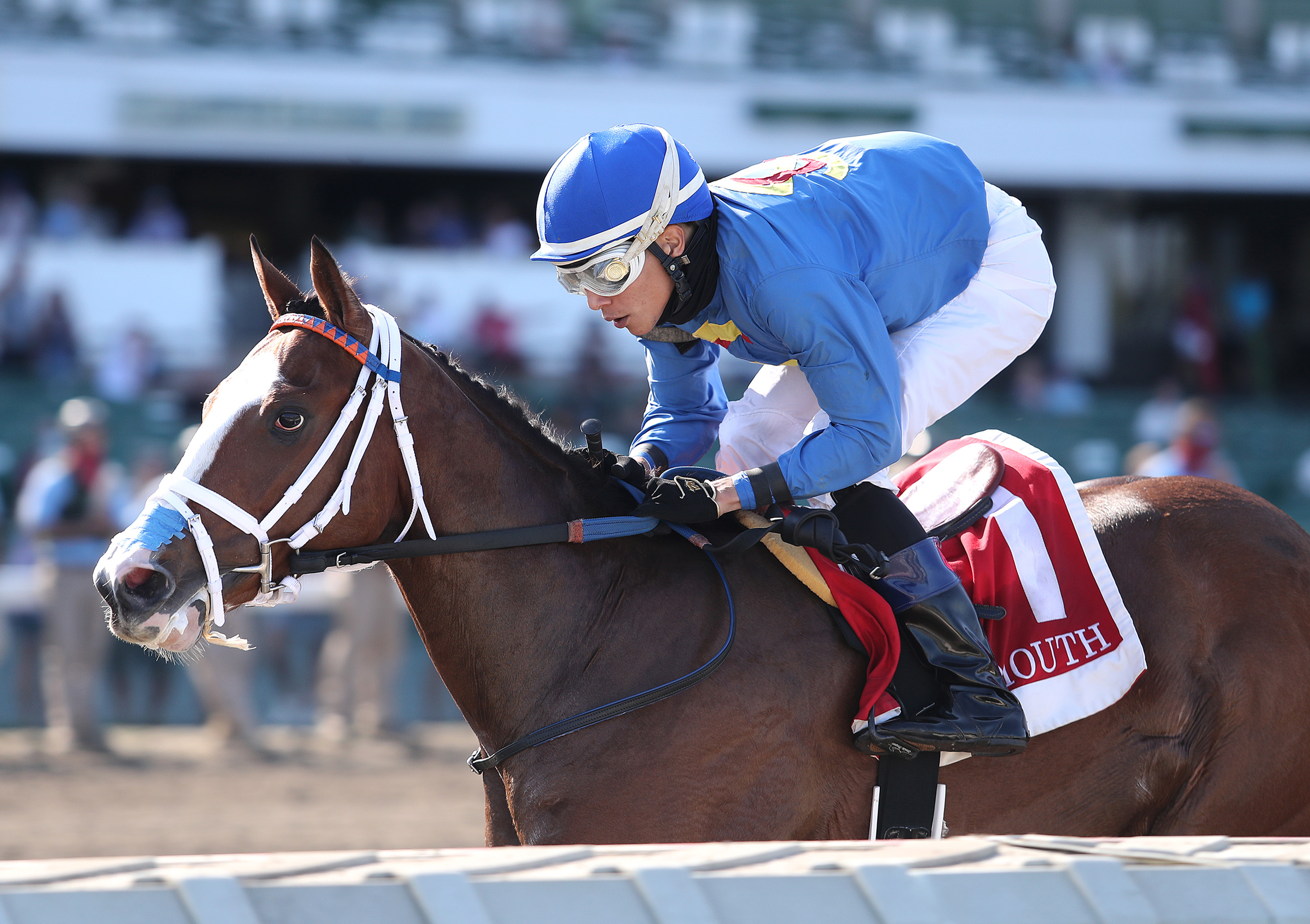 Waist Deep wins Sapling 9-6-2020