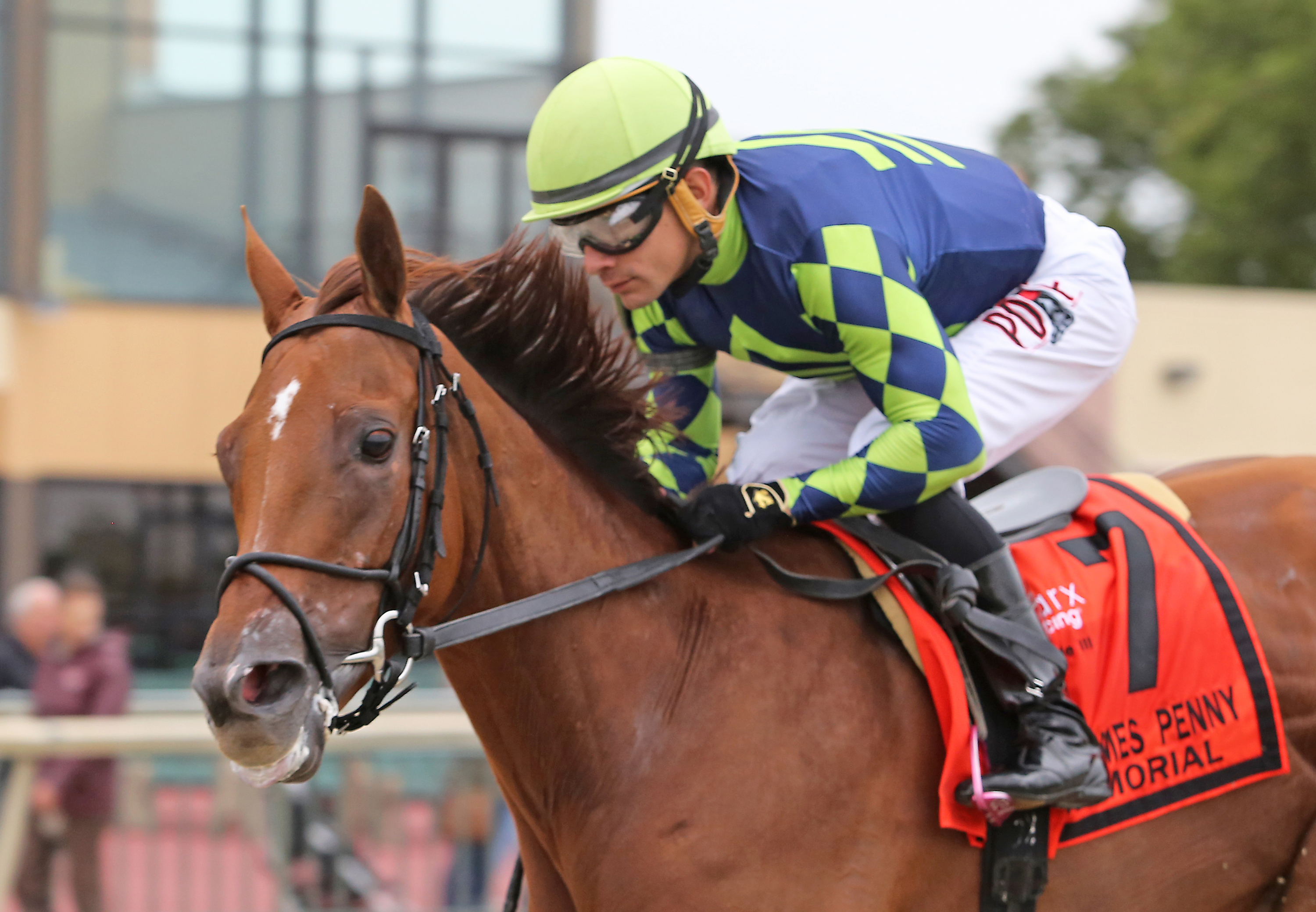 Divine Miss Grey wins 2018 Penny Memorial