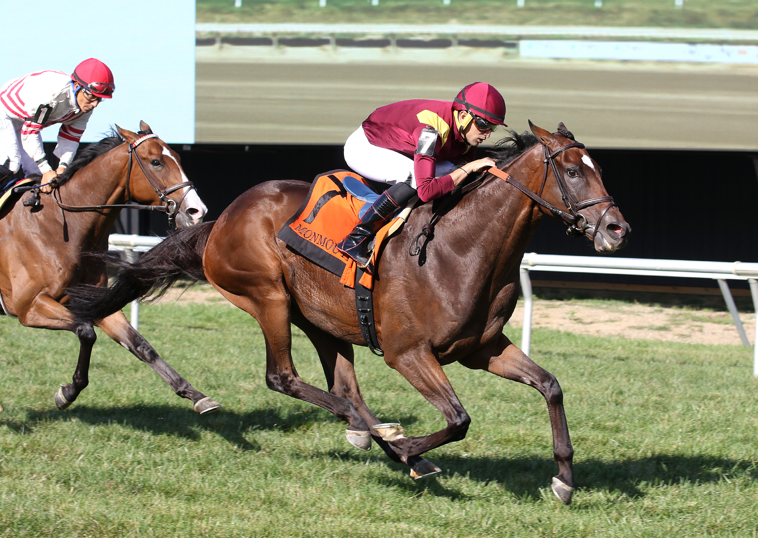 L'Imperator wins Presious Passion Stakes 9-10-2022