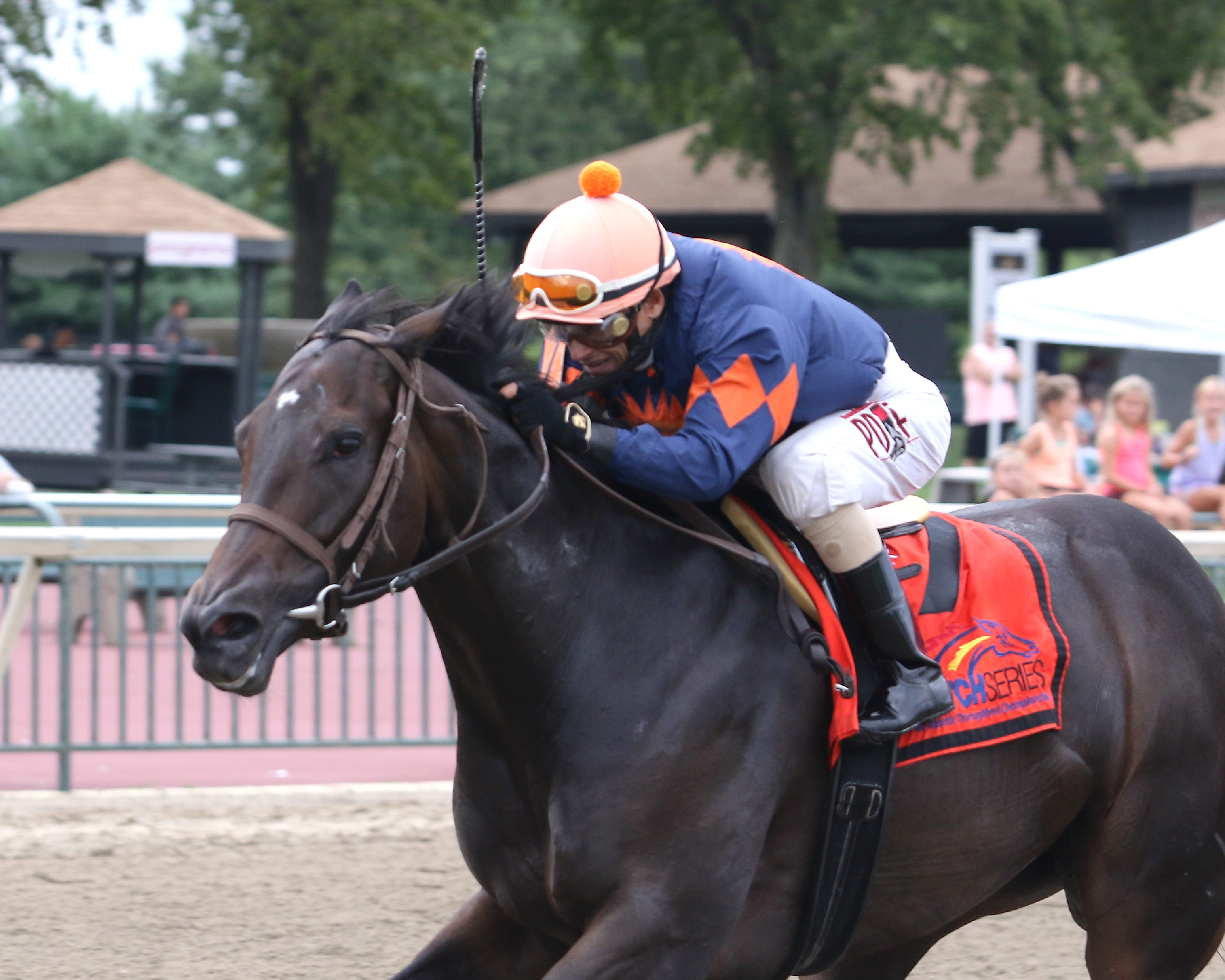 Liz's Cable Girl wins 2018 Roamin Rachel